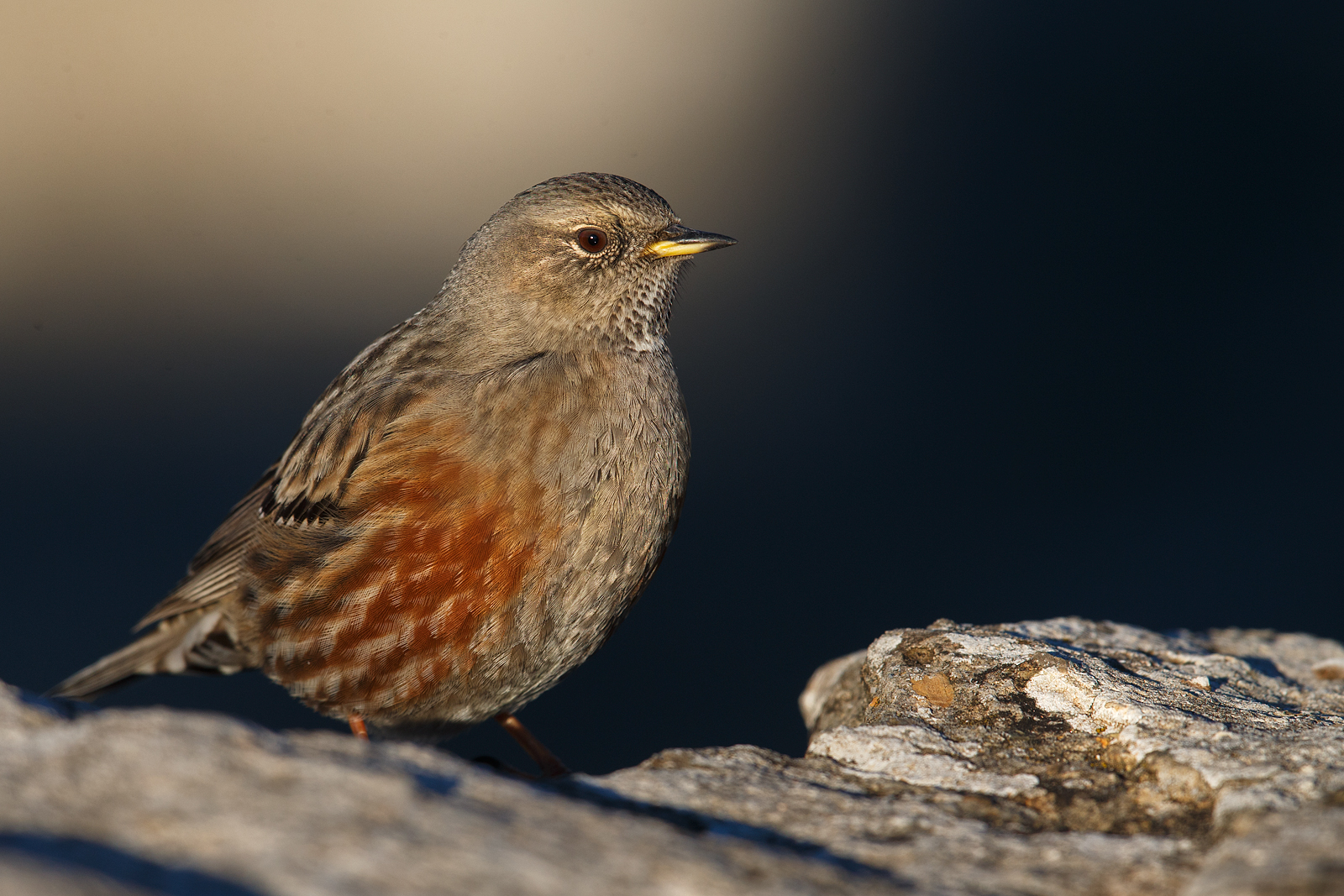 The sordone at sunset