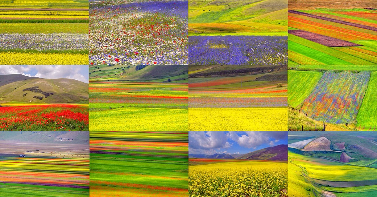 Castelluccio di Norcia