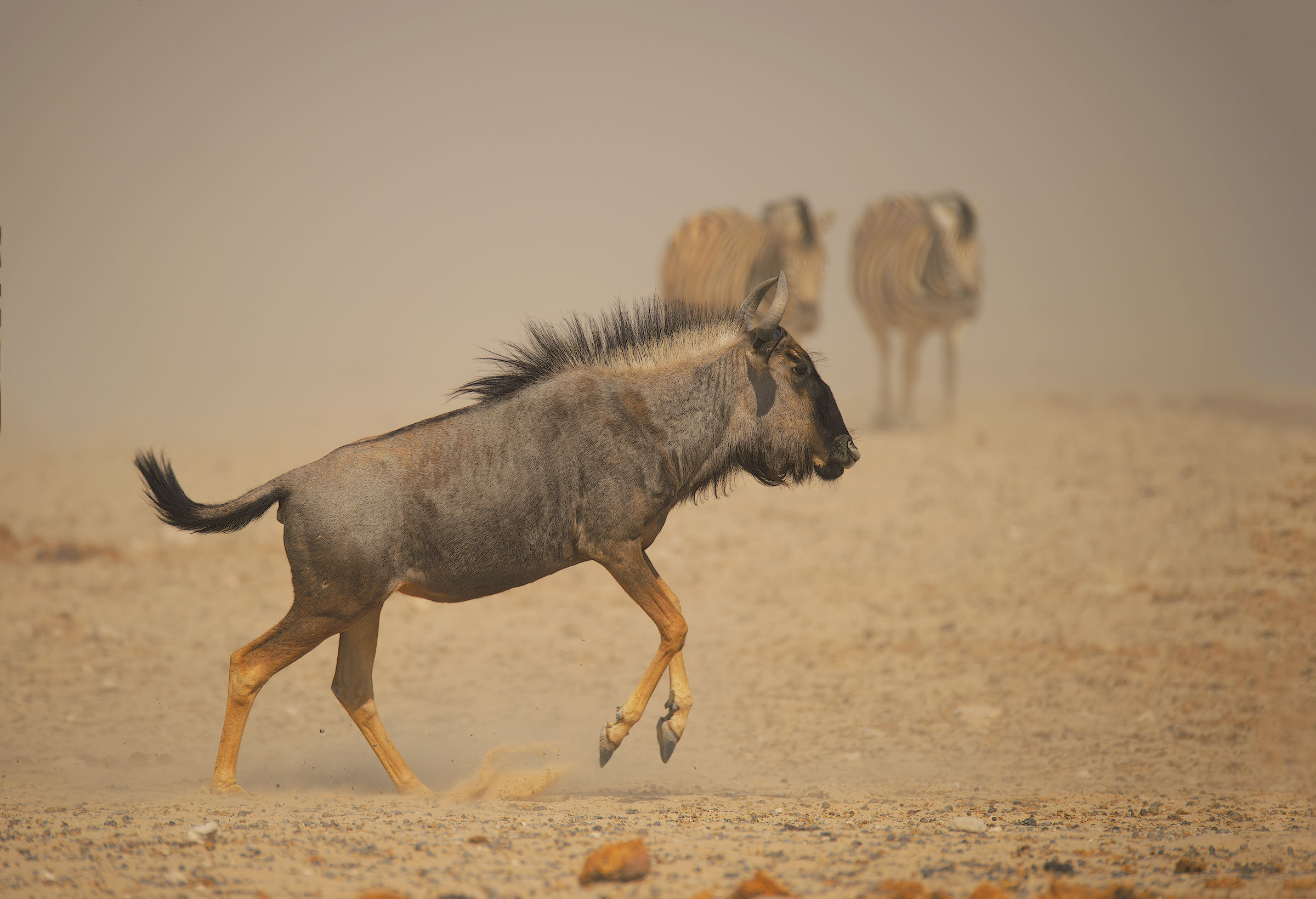 Running toward the water