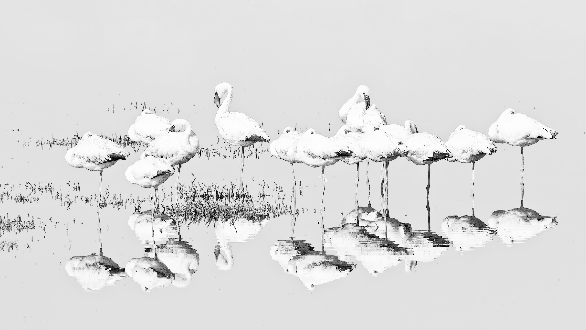 Più chiaro che scuro-high key-