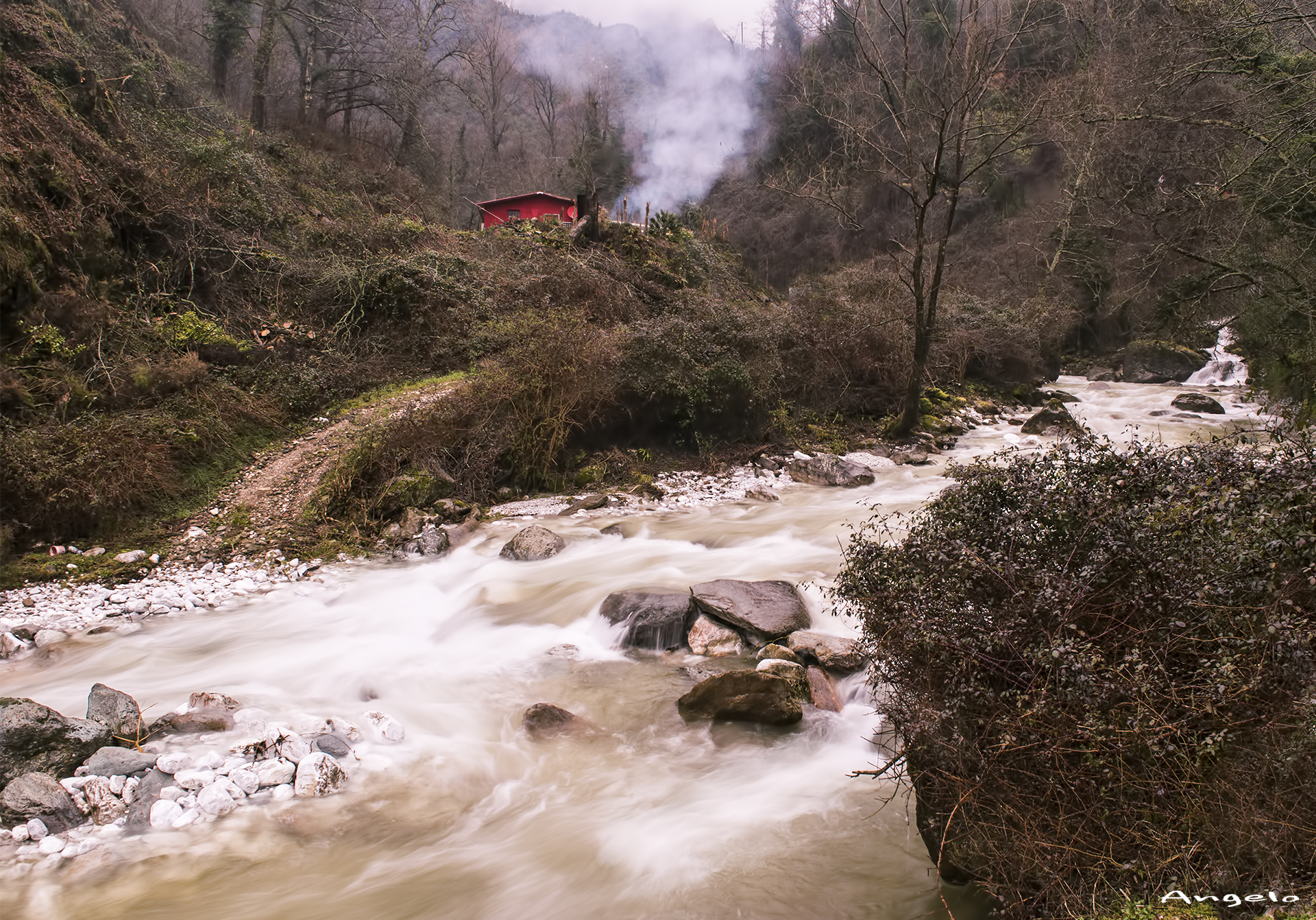 House Riding Hood !!!