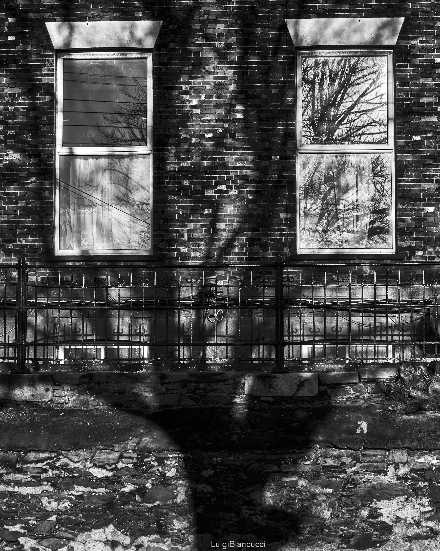 Shadow of the windows