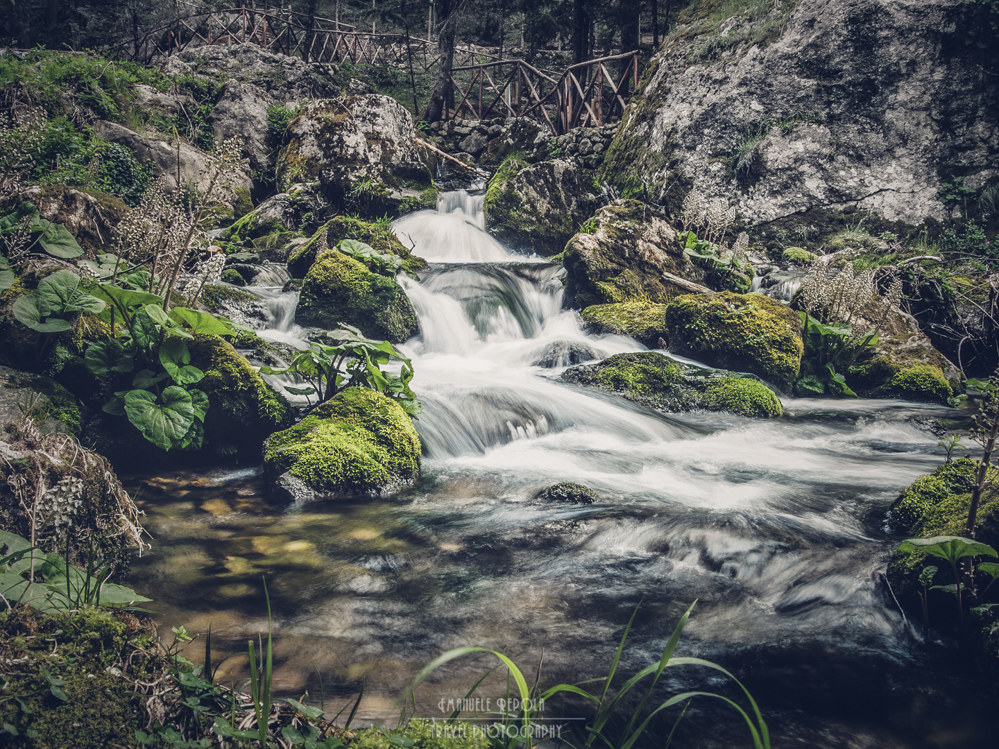 Bosco degli Zappini #2