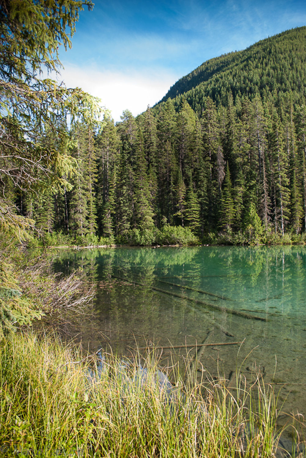 Olive Lake (Kootenay National Park - Canada)
