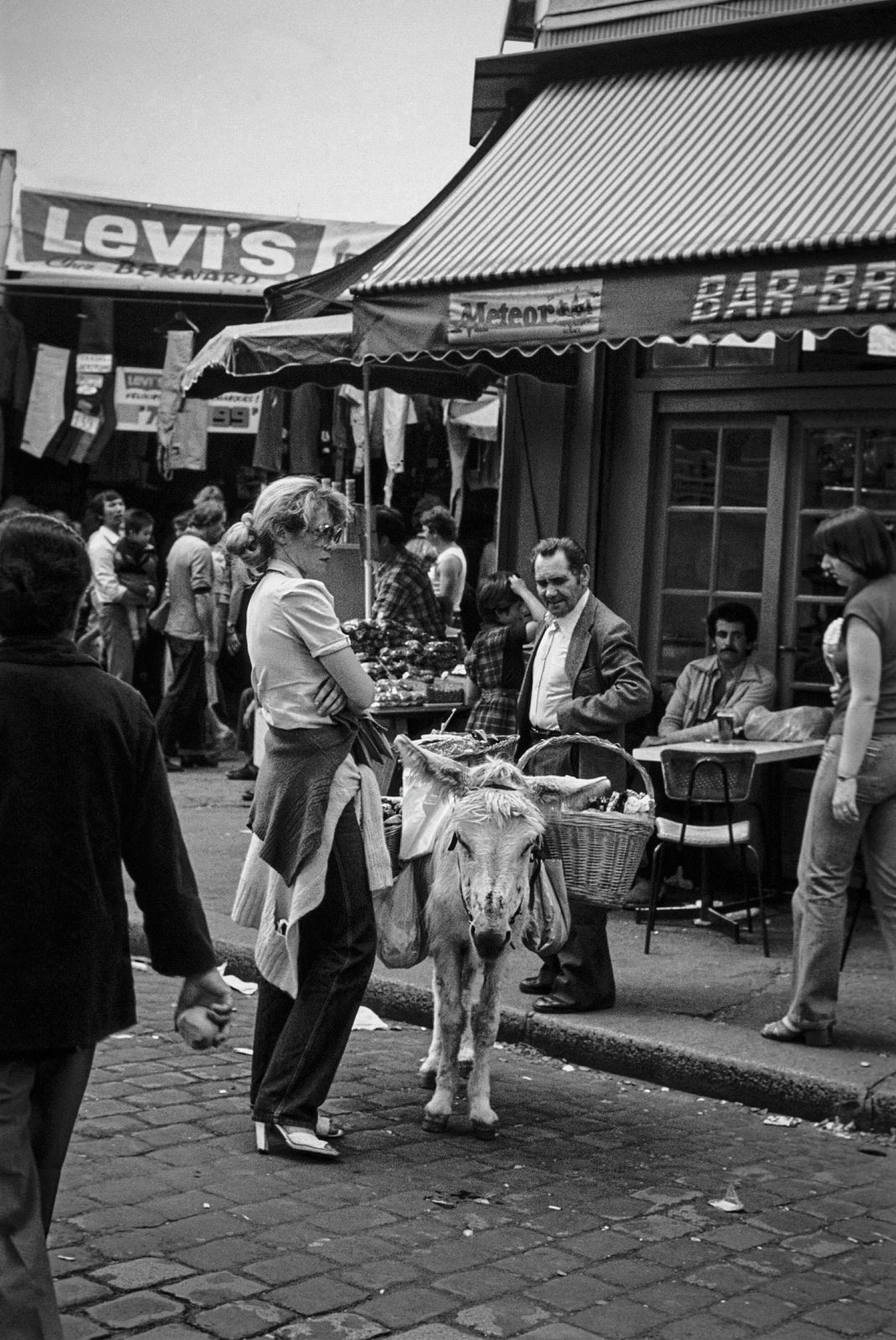 Compagnon de Travail