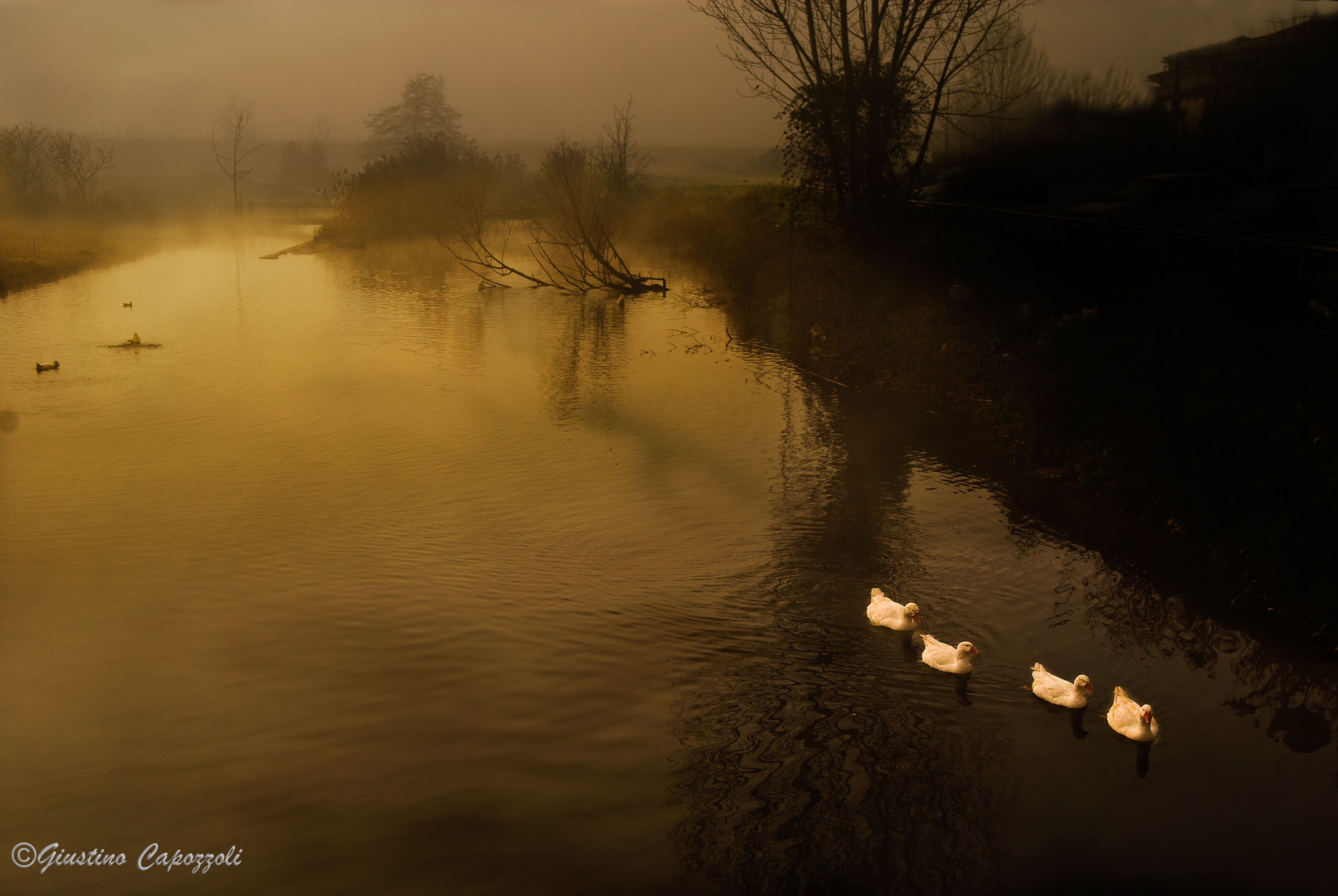 dawn mist on the river