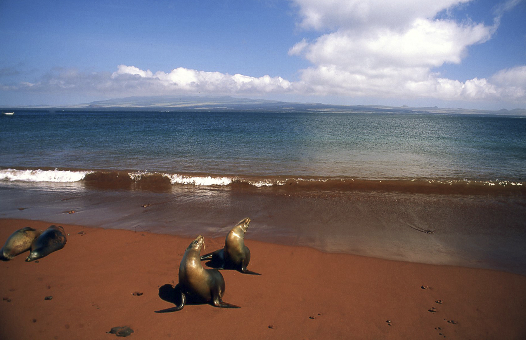 The beach in the Galapagos