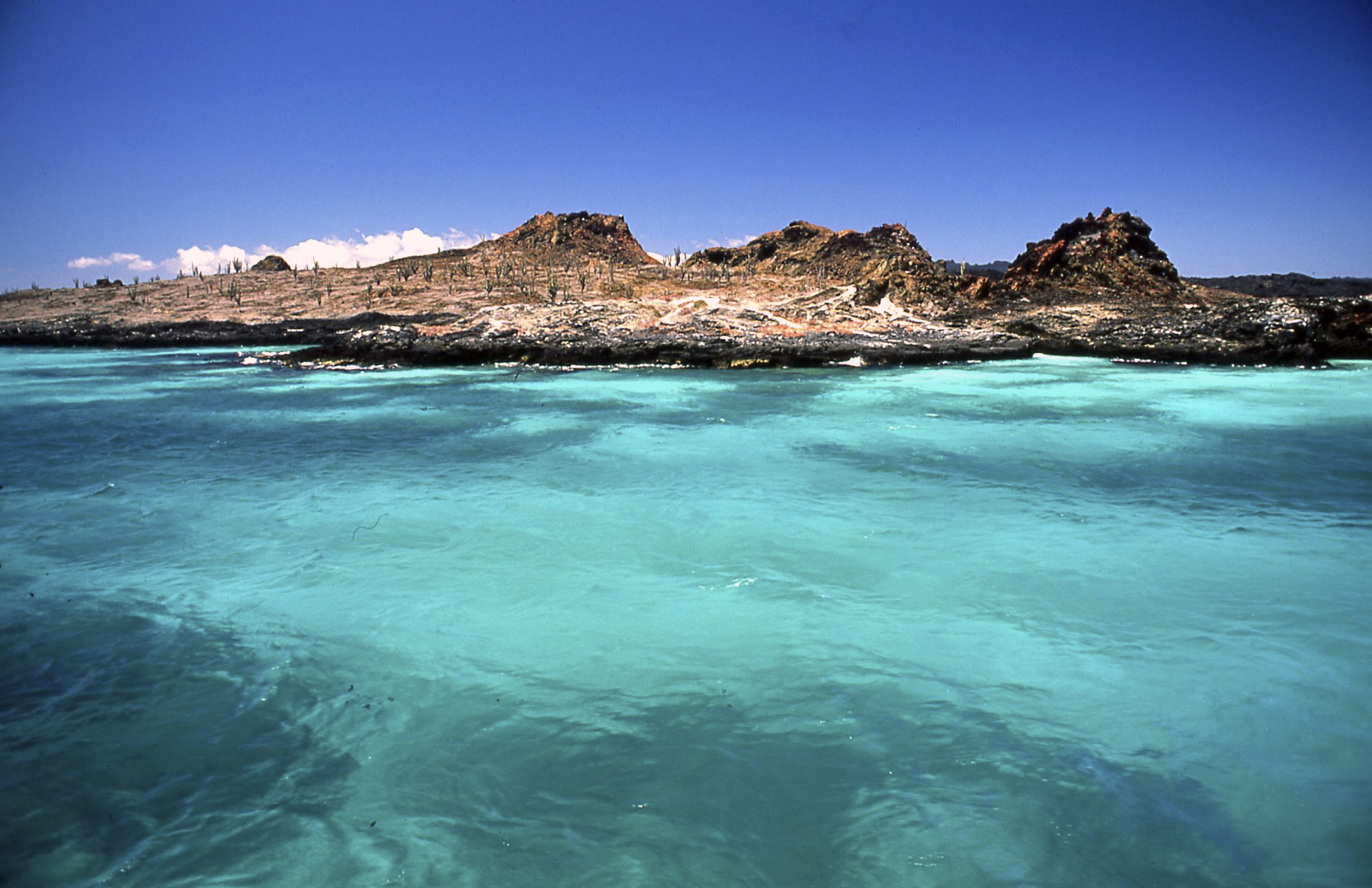 The colors of water - Galapagos