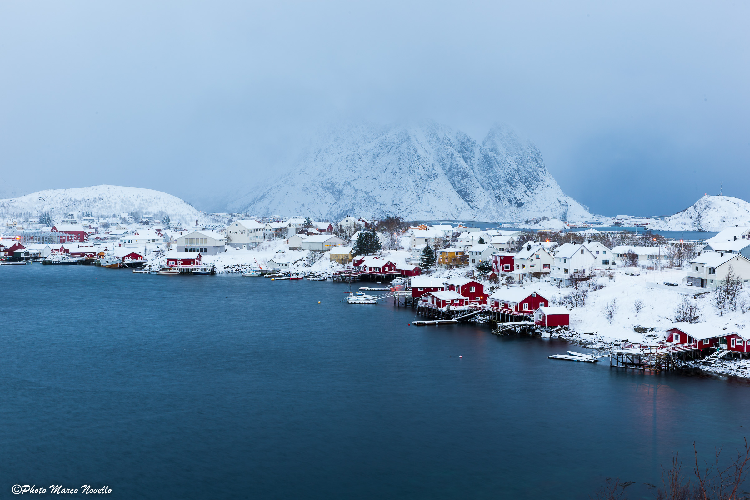 Reine