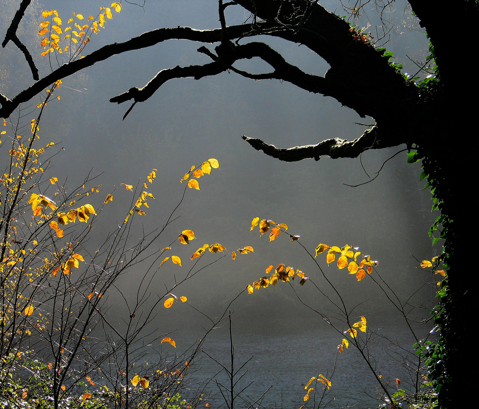 Atmosfera tardo autunnale