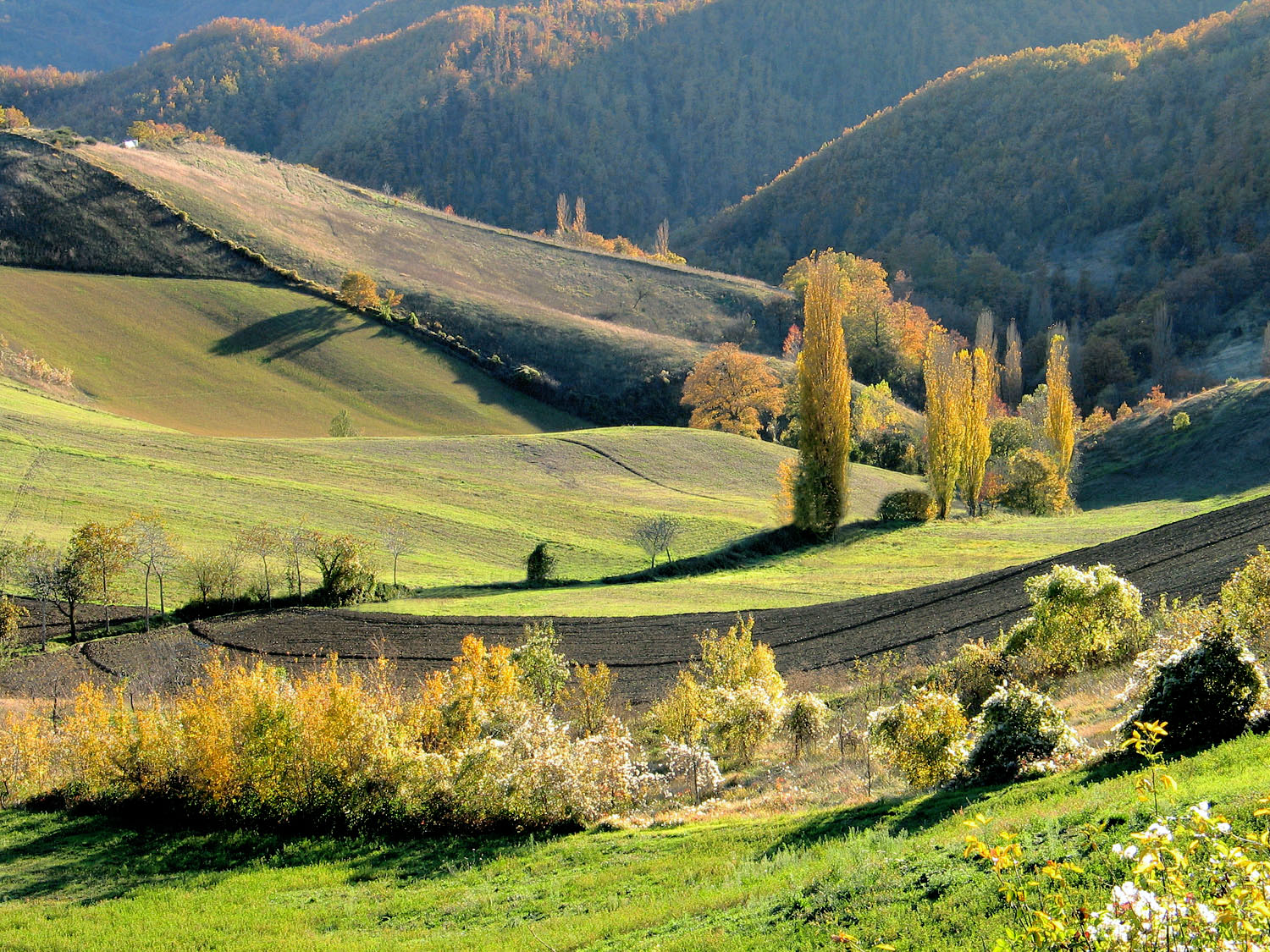 Paesaggio autunnale alla Serra di Burano (Perugia)