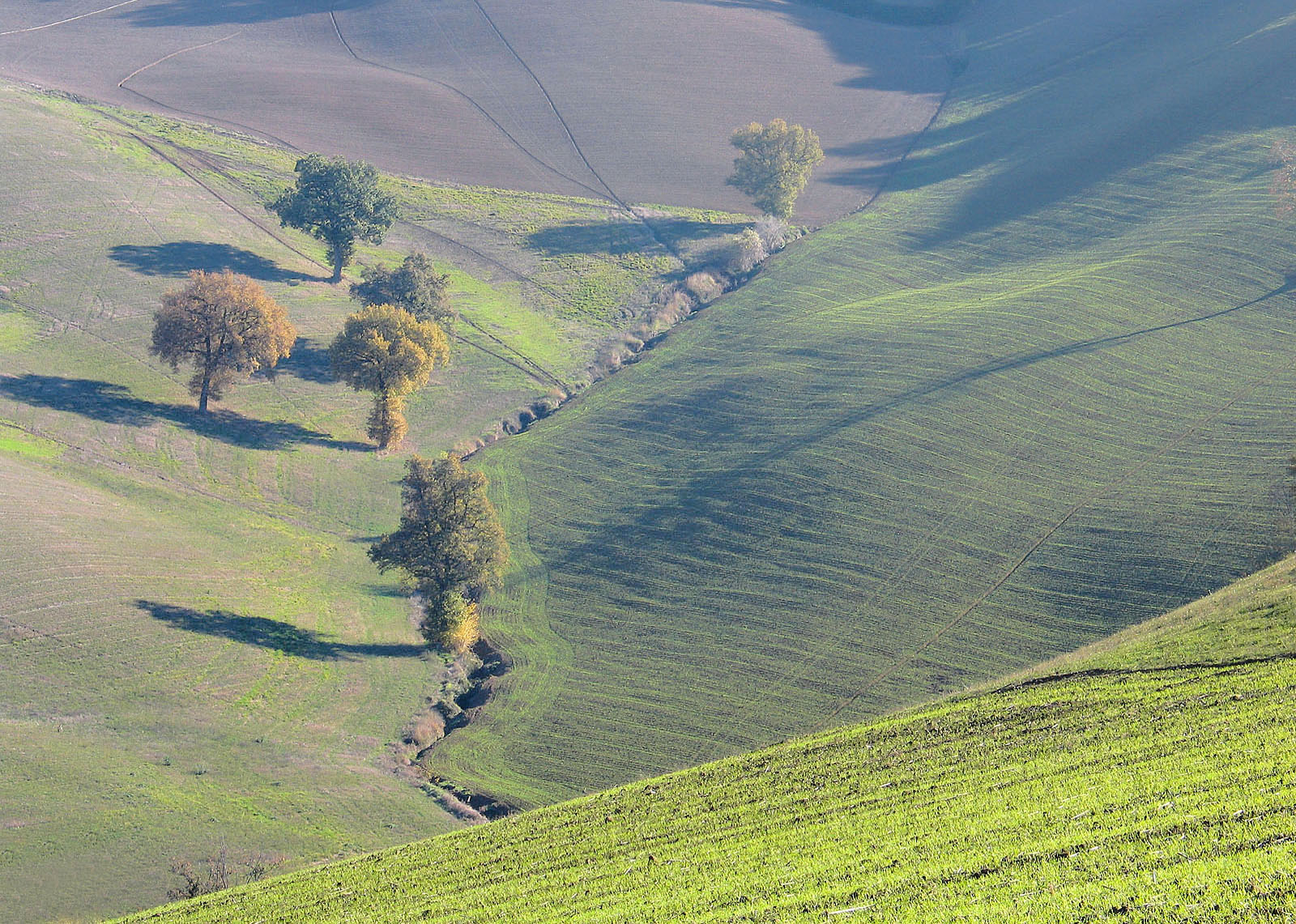 Morbidezza tardo autunnale