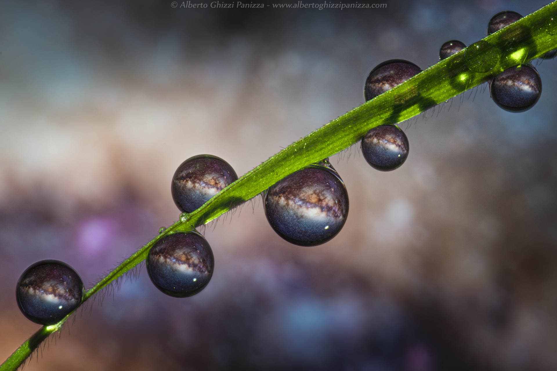 Un universo in ogni goccia