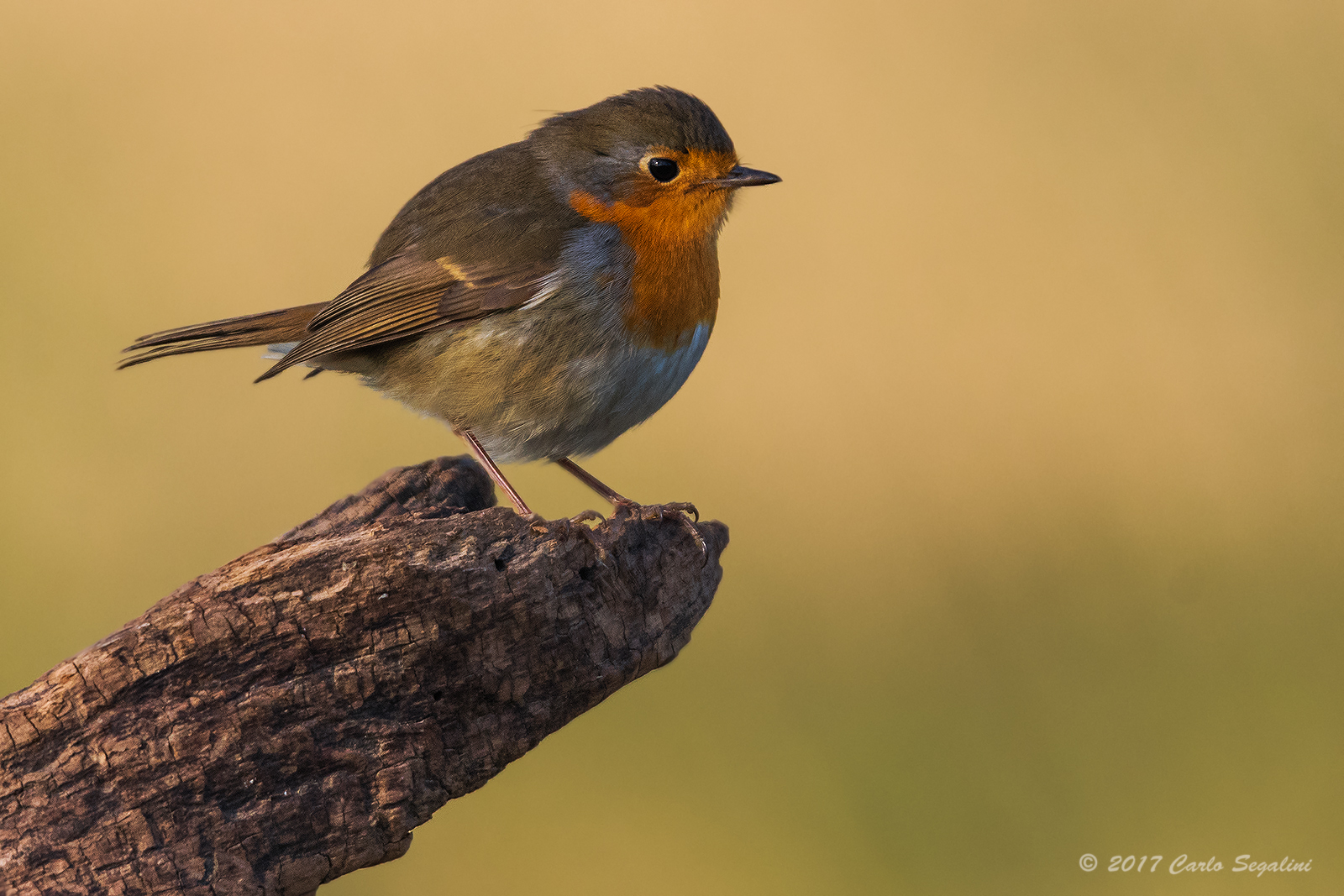 non aspettavo te...!!!