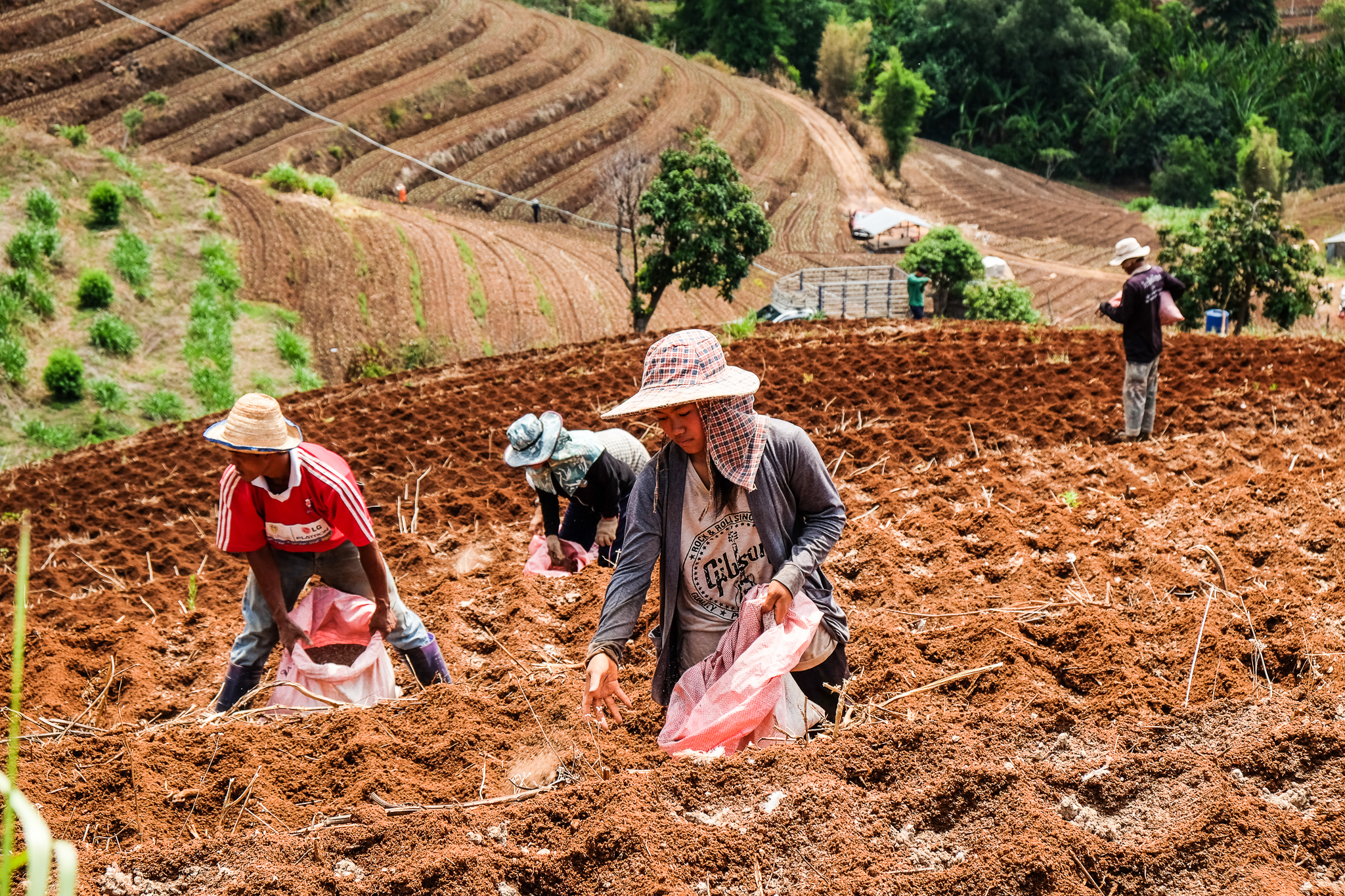 Semina - nord Thailandia 2016