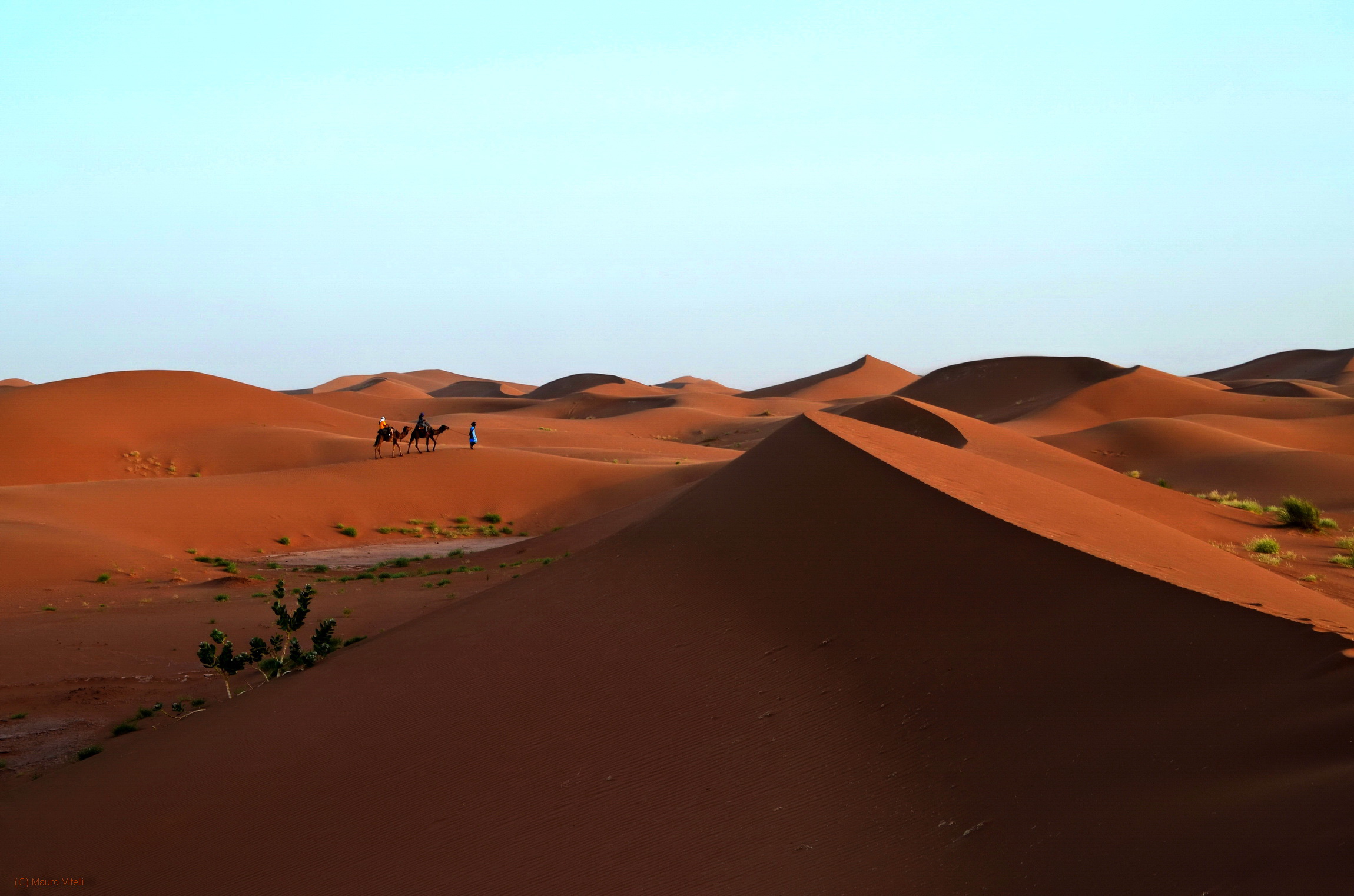 Walking in the desert