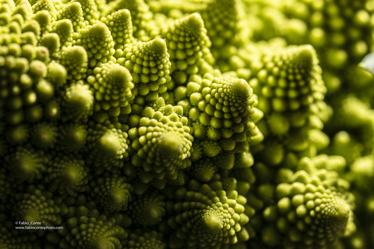 Landscape on the romanesco broccoli