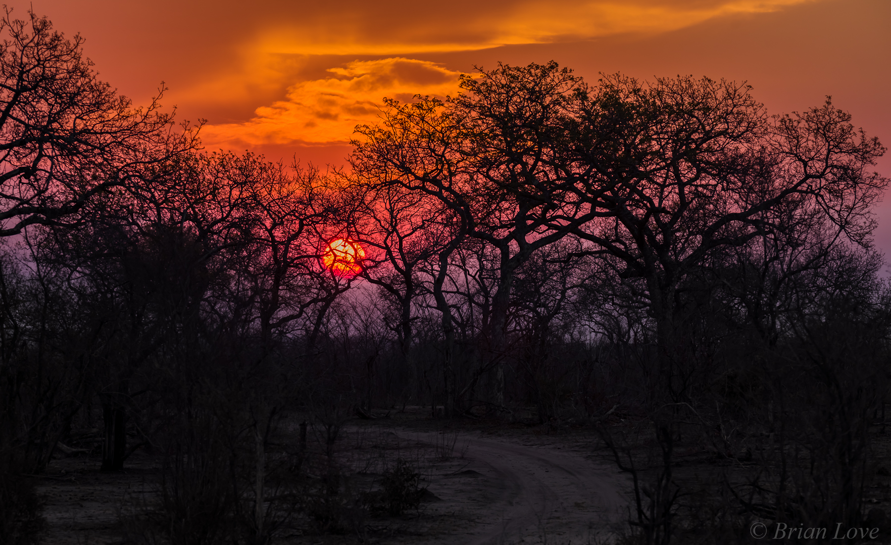 Sunset In The Dry Season South Africa