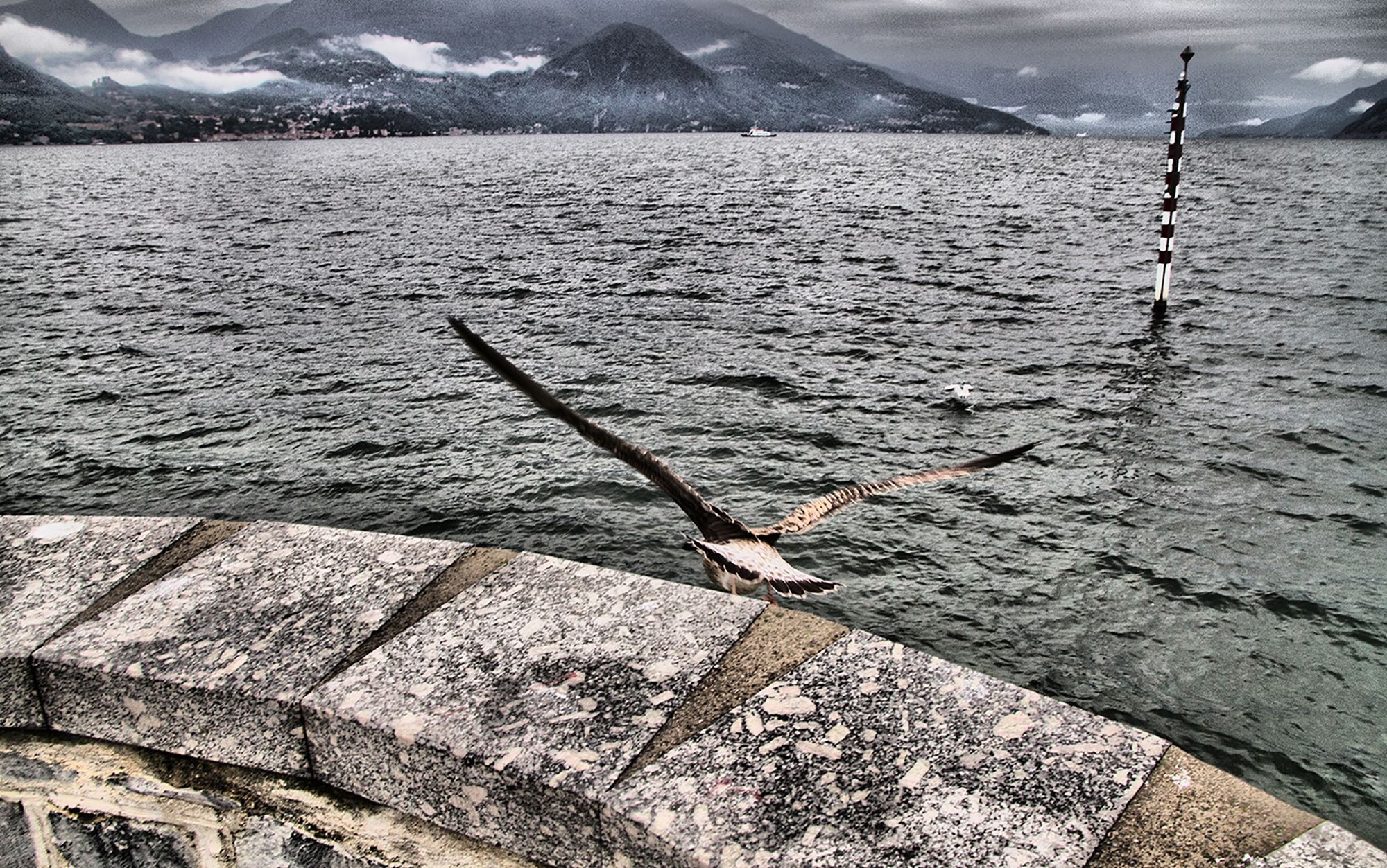 fly away alone