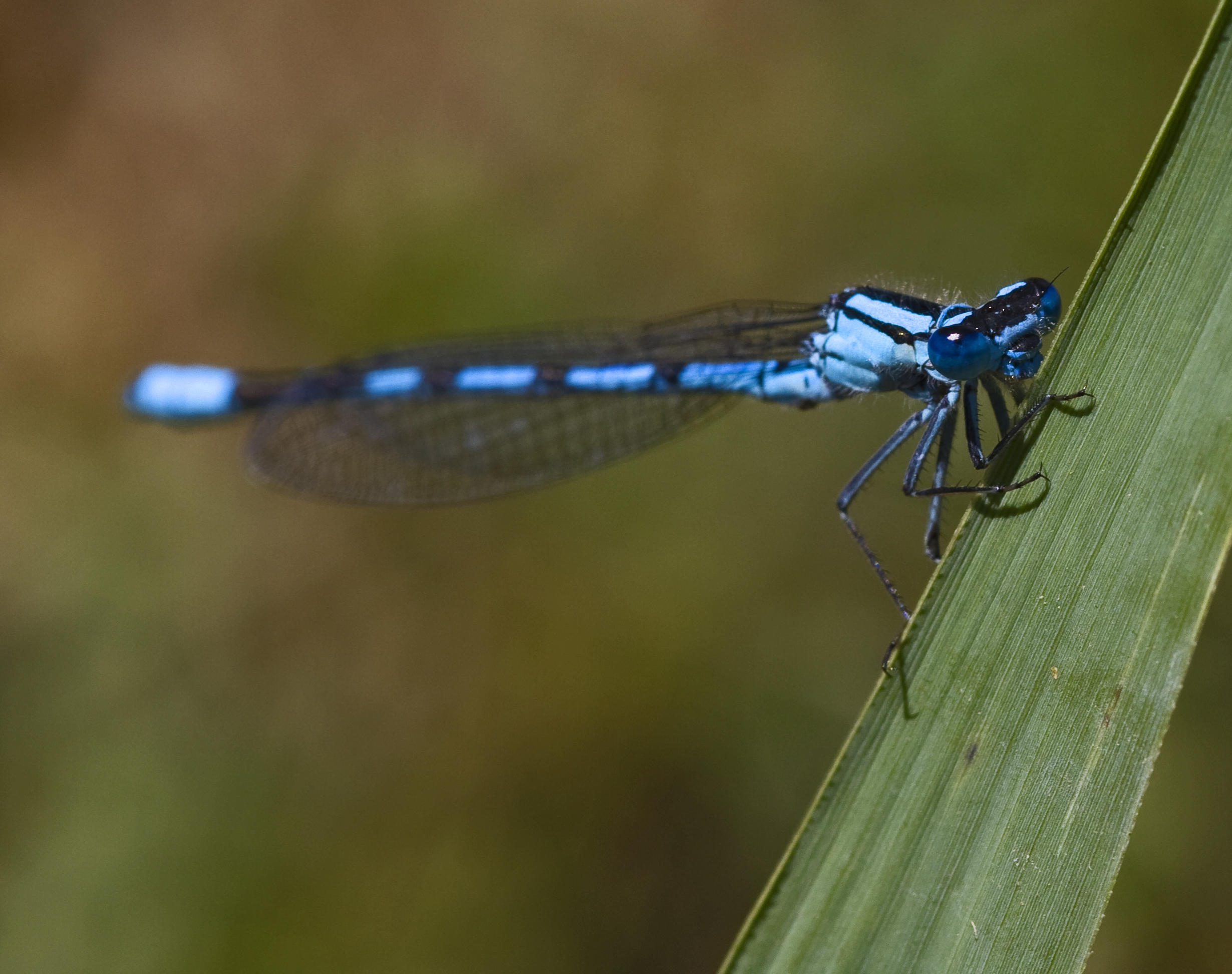 I look at you, too ....