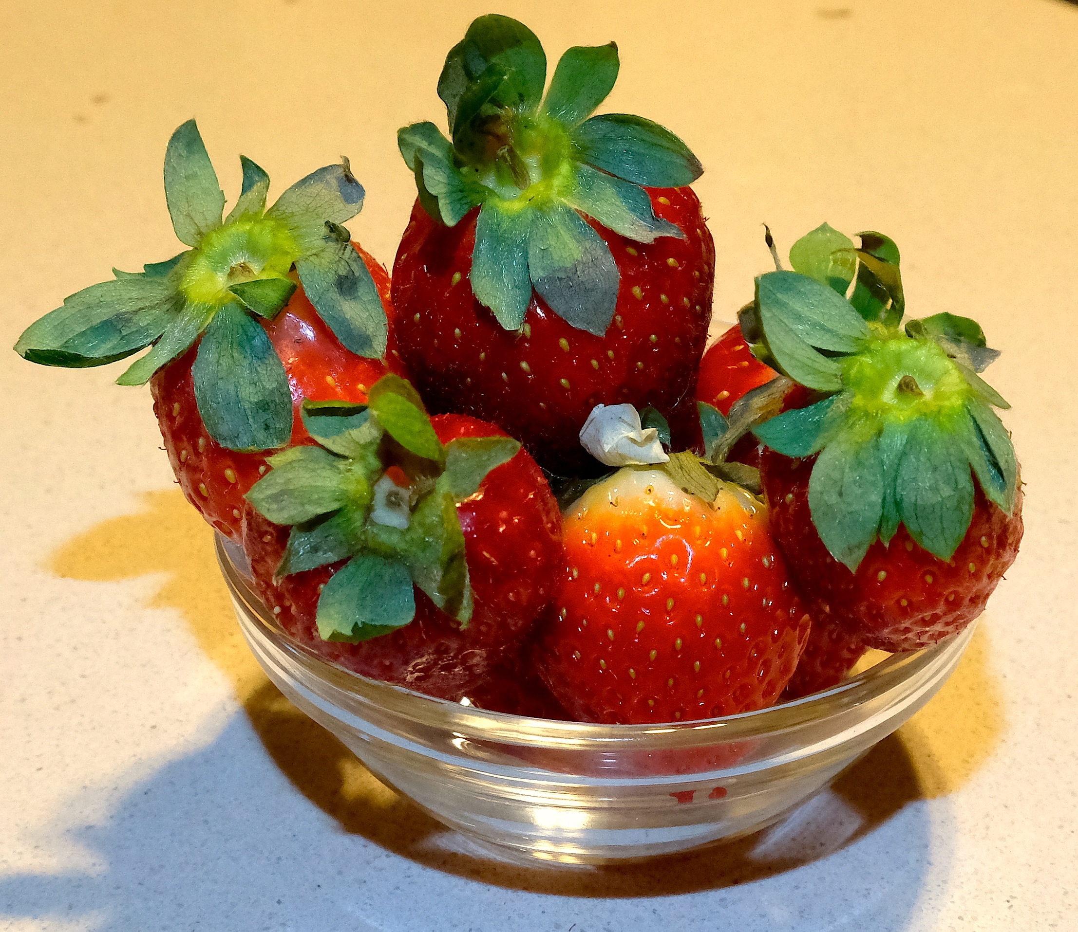 fragole con fujifilm