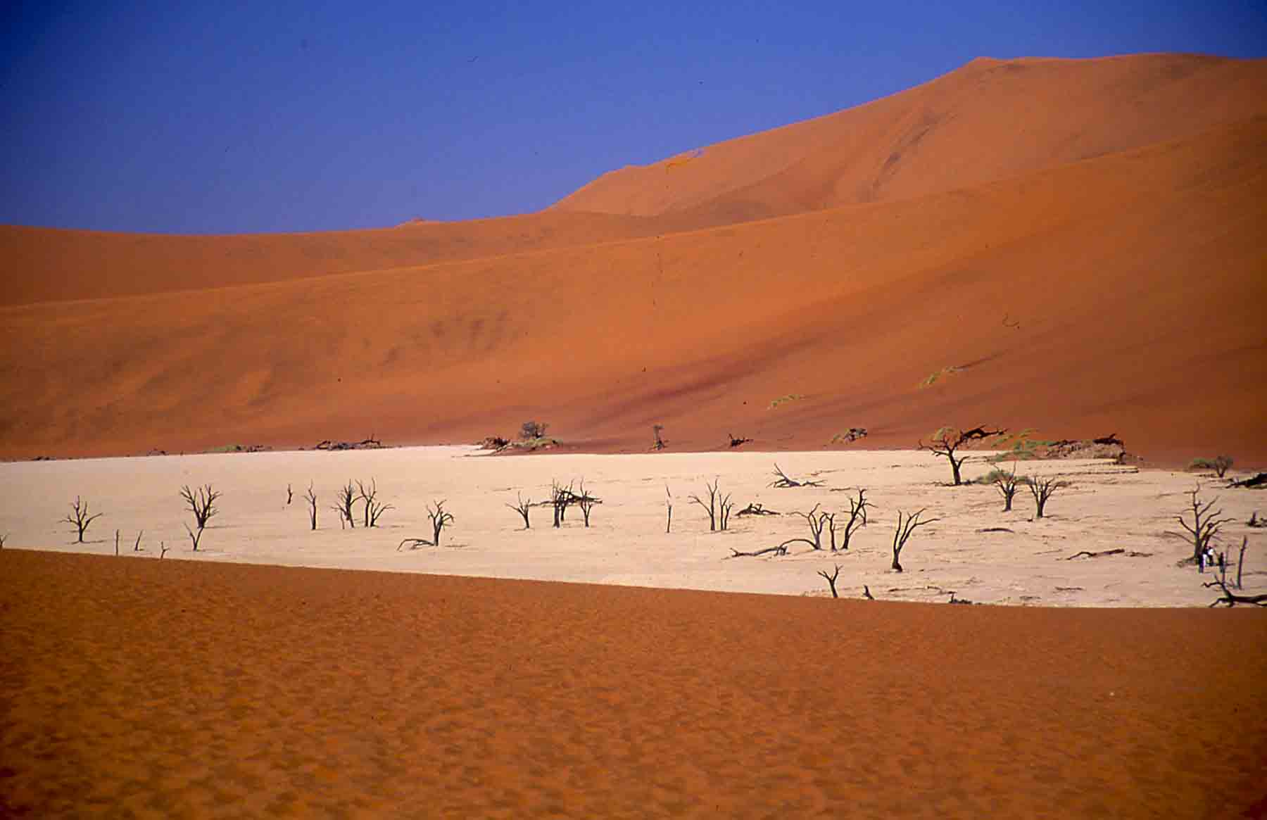 Deserto del Namib