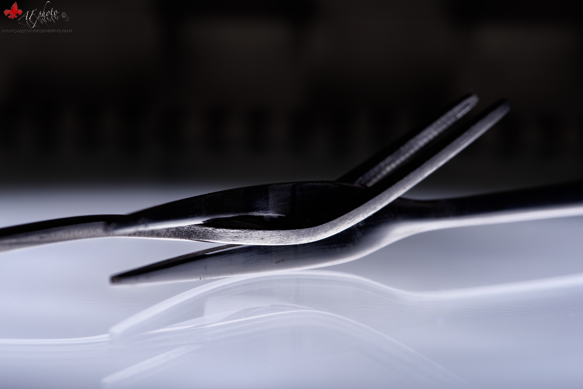 Lovely Still Life XXX