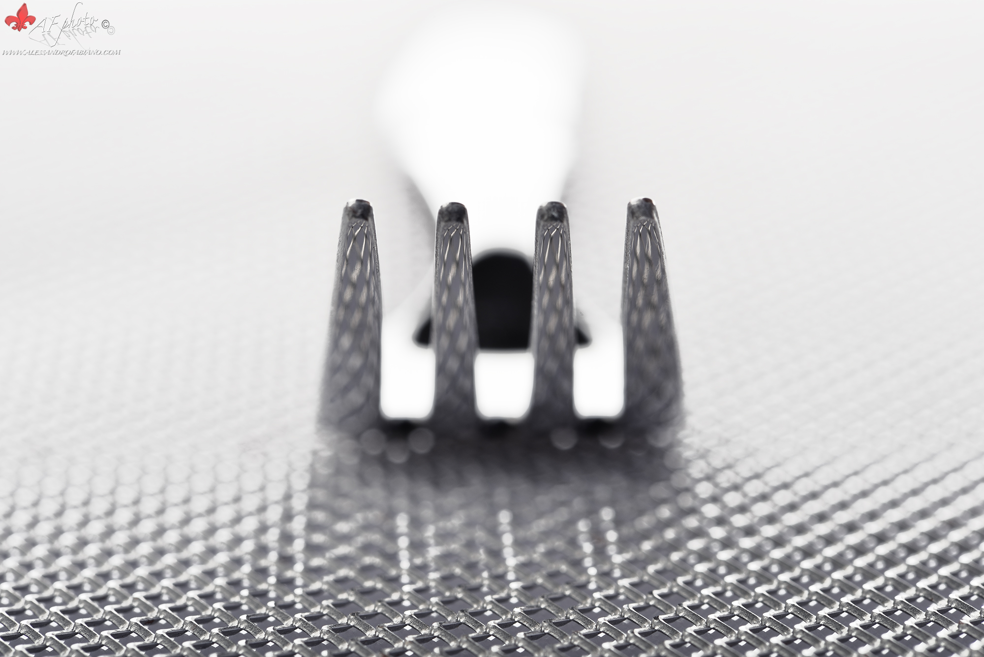 Lovely Still Life xxxi