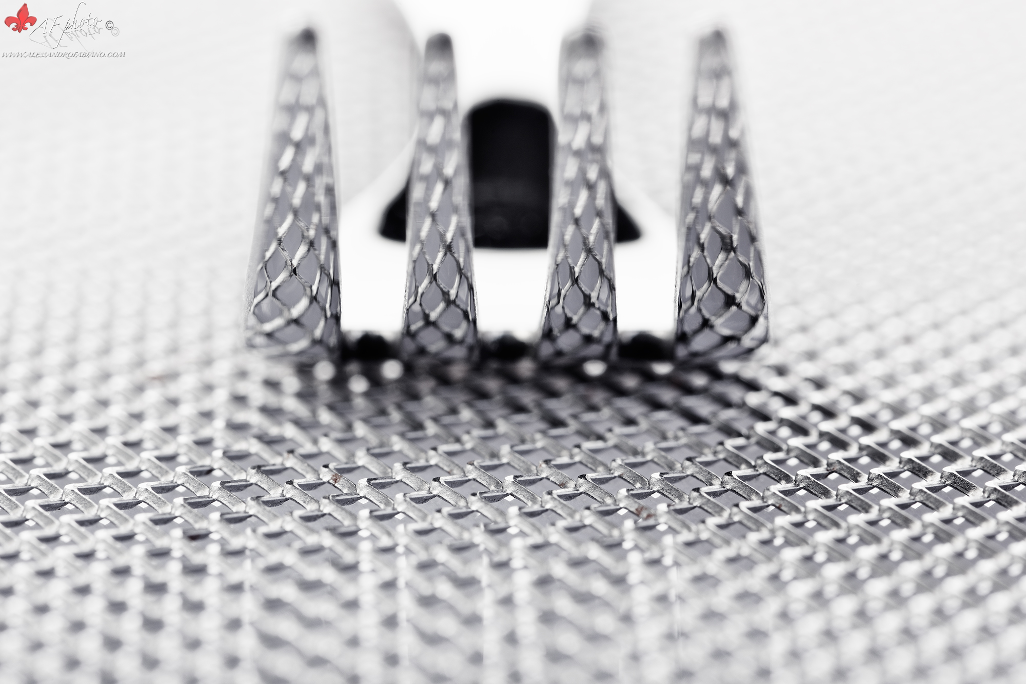 Lovely Still Life xxxii