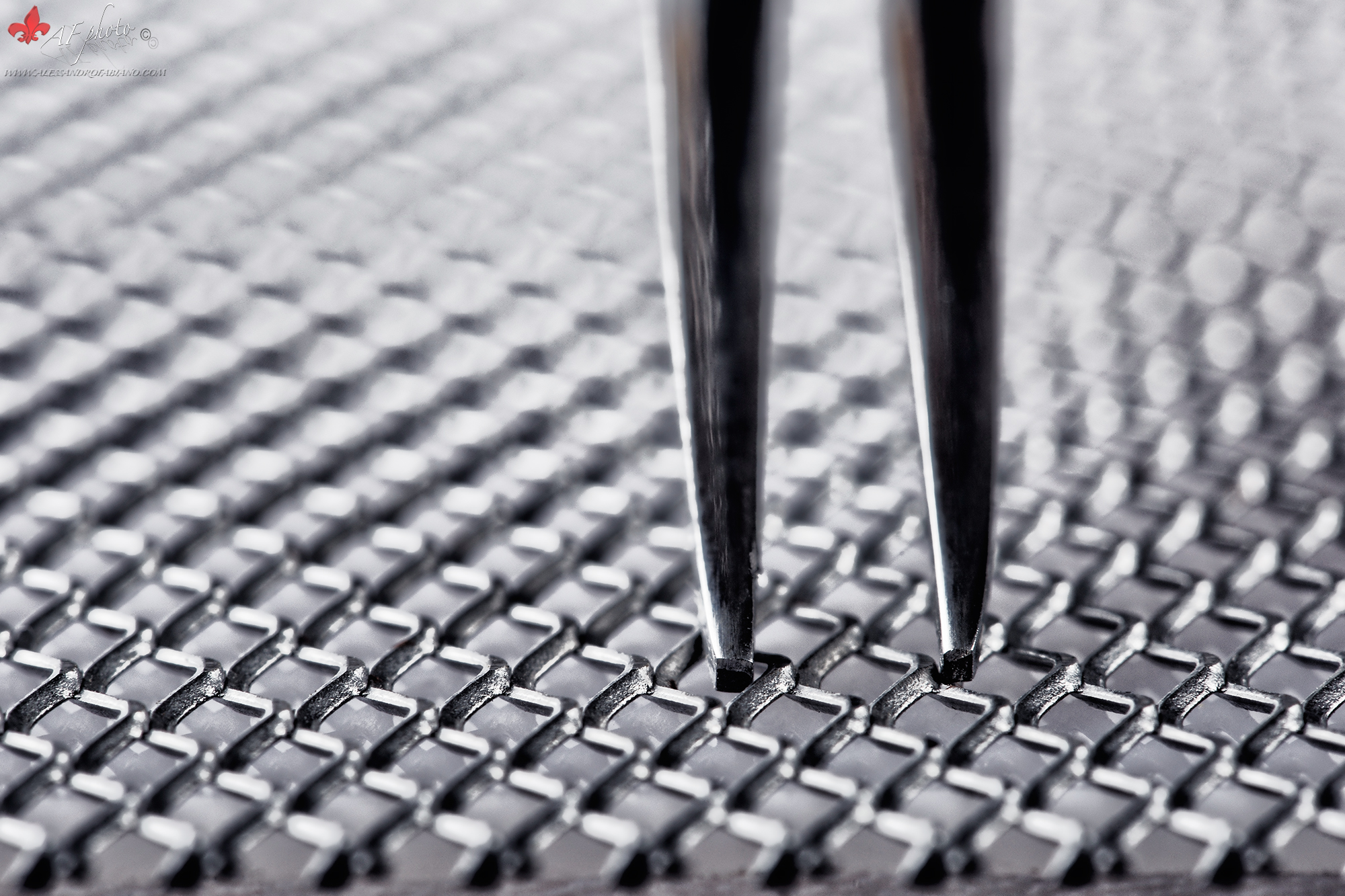 Lovely Still Life xxxiv