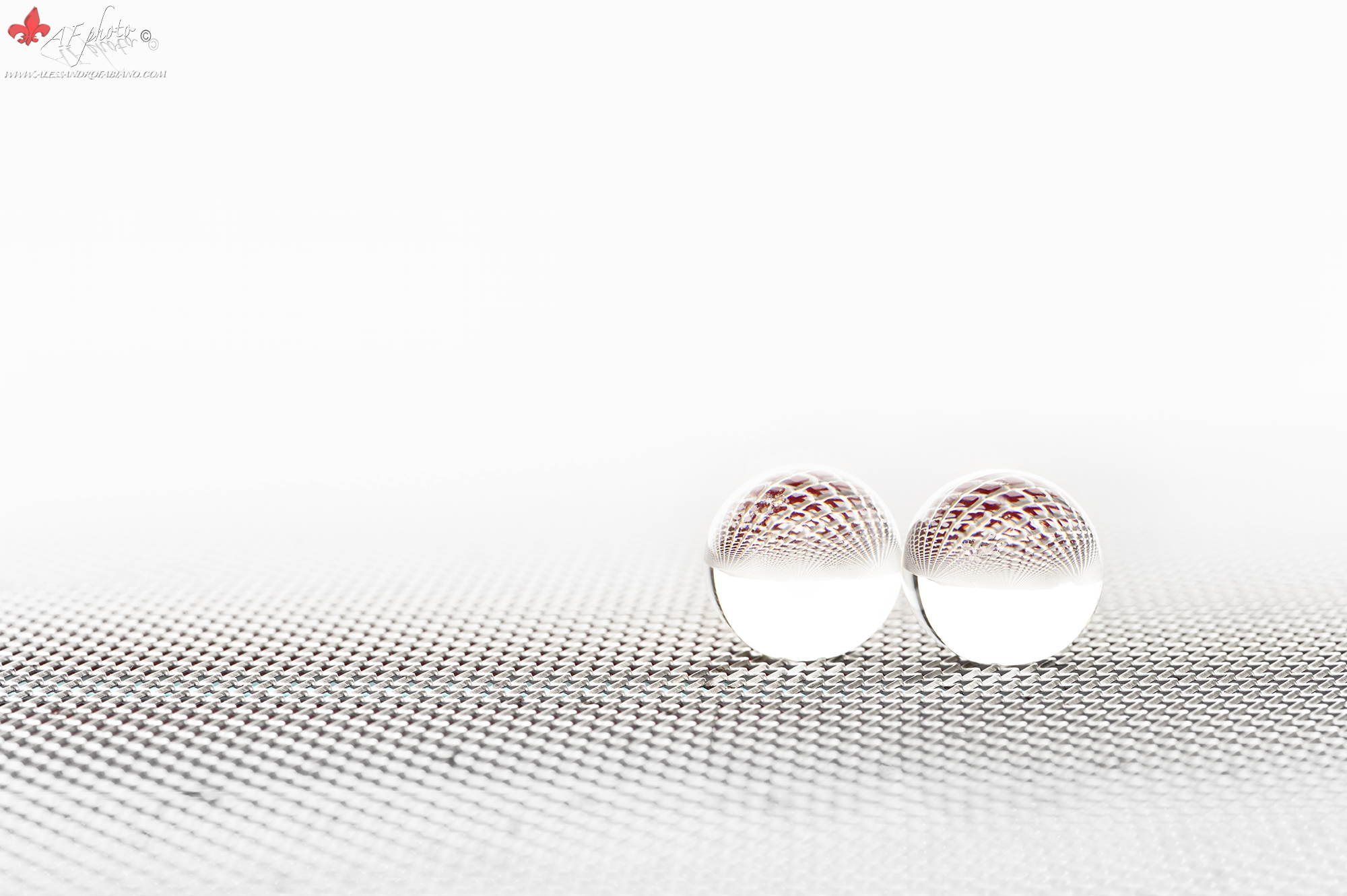 Lovely Still Life xxxv