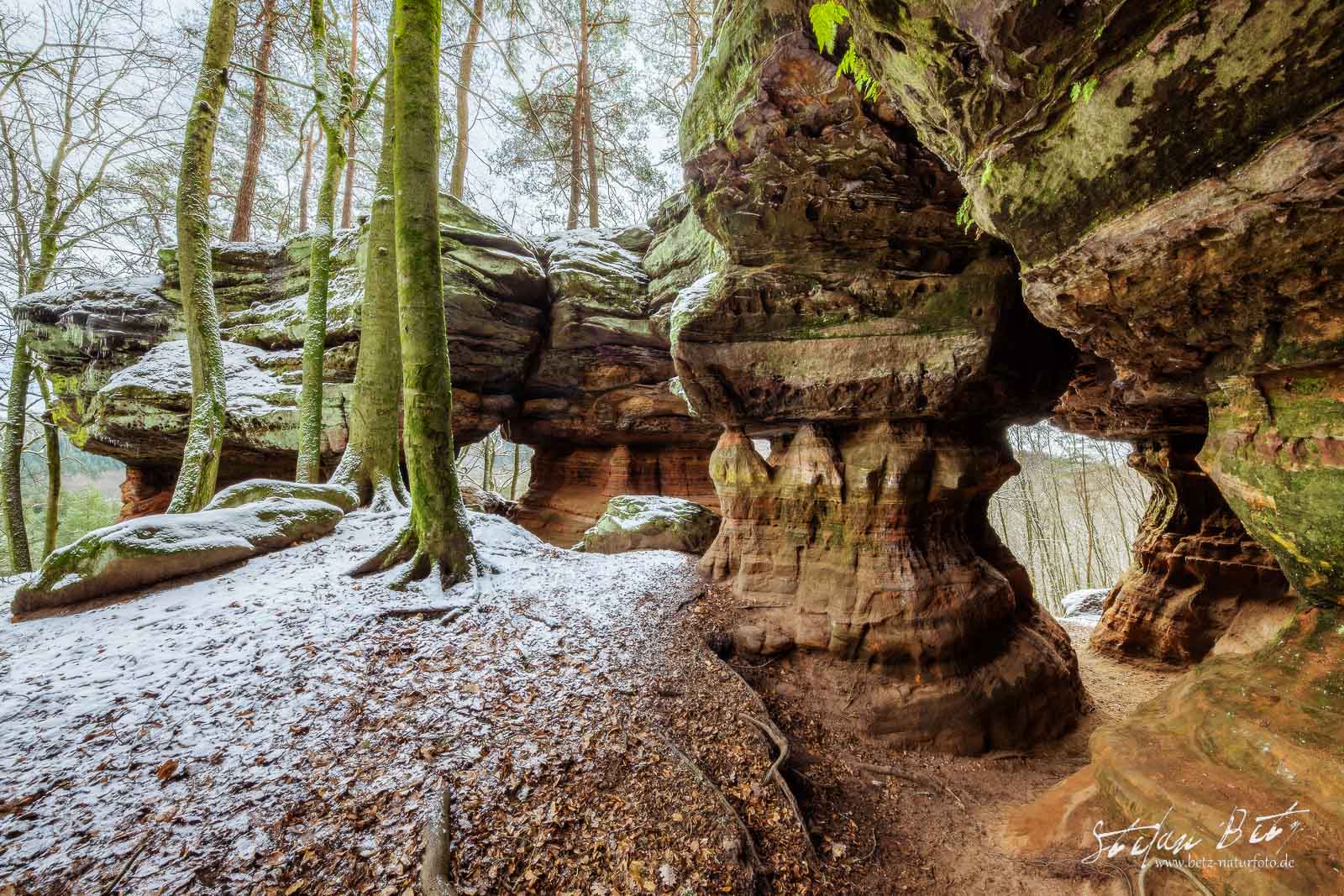 Palatinate Forest sandstone