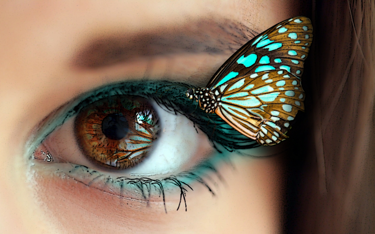 How colors and reflections