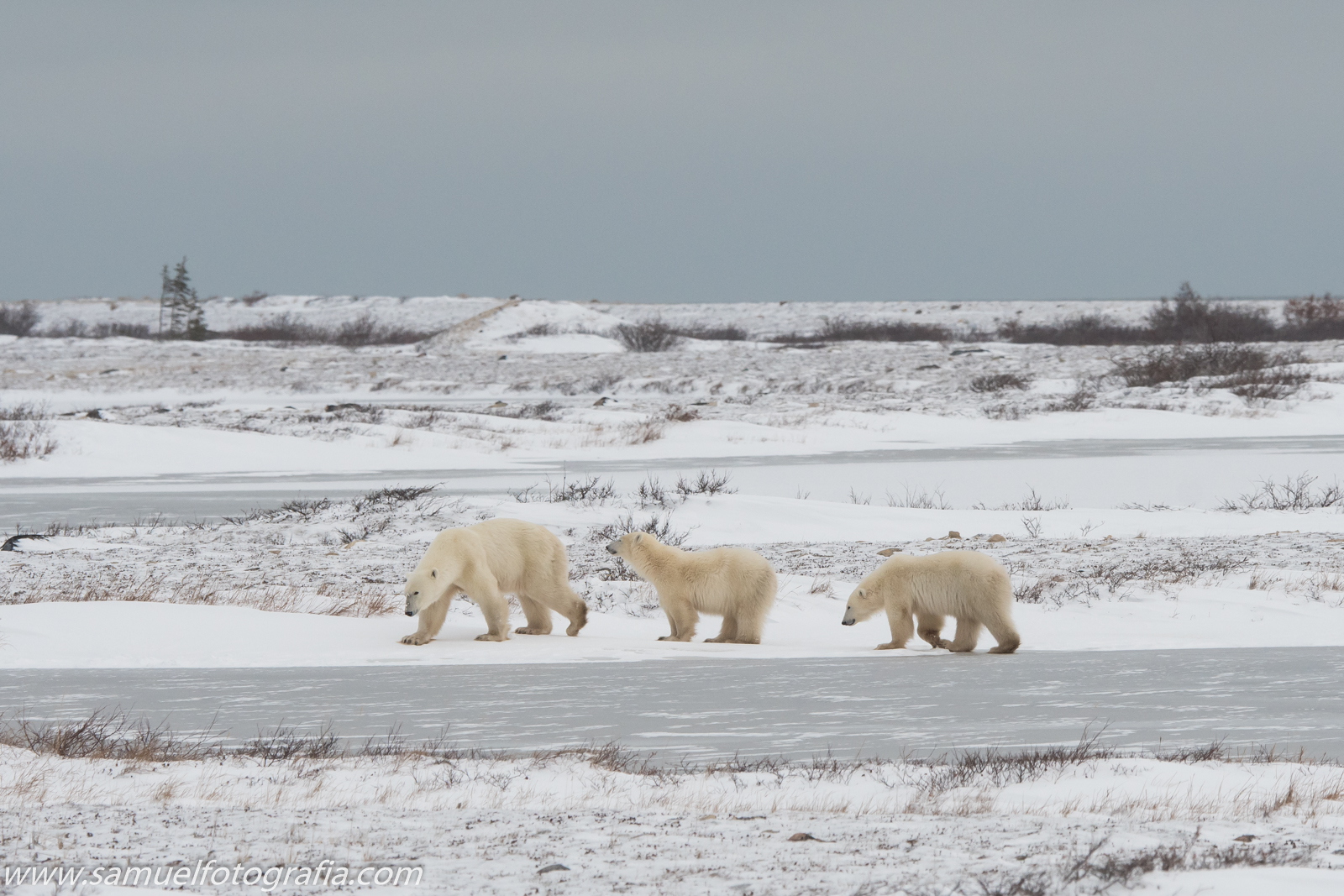 Passeggiata in famiglia