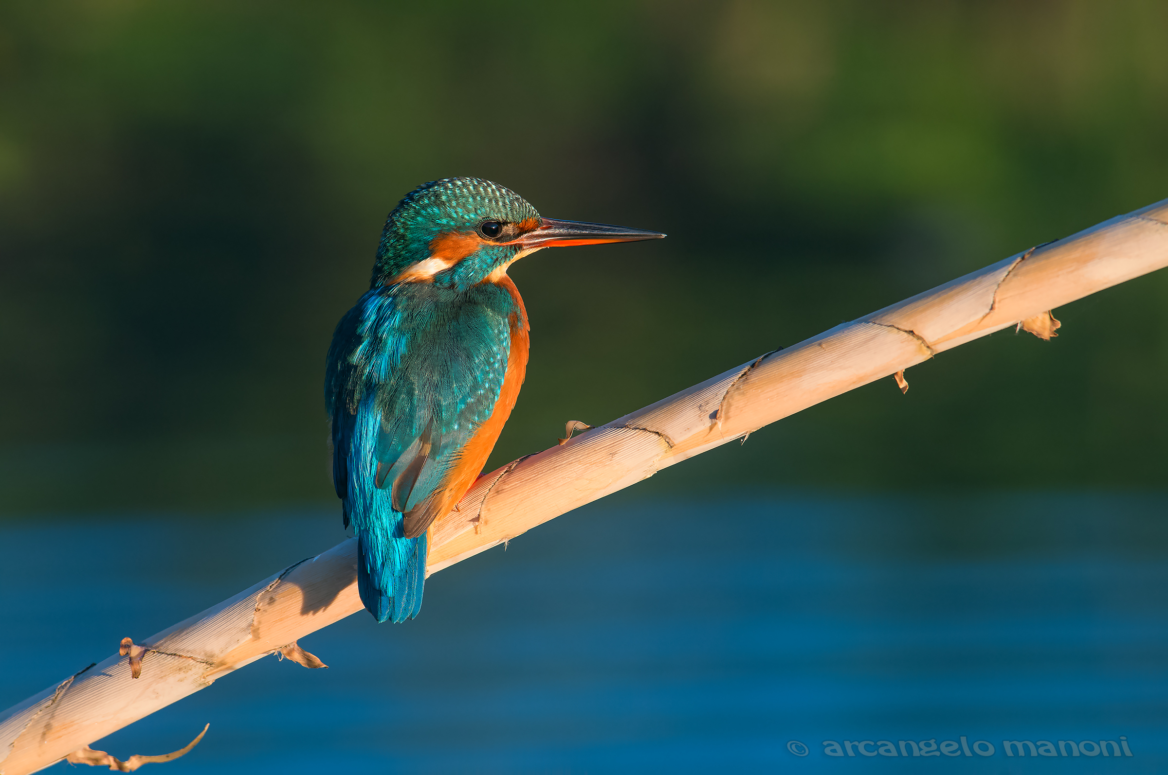 Sotto l'ultimo sole caldo della sera