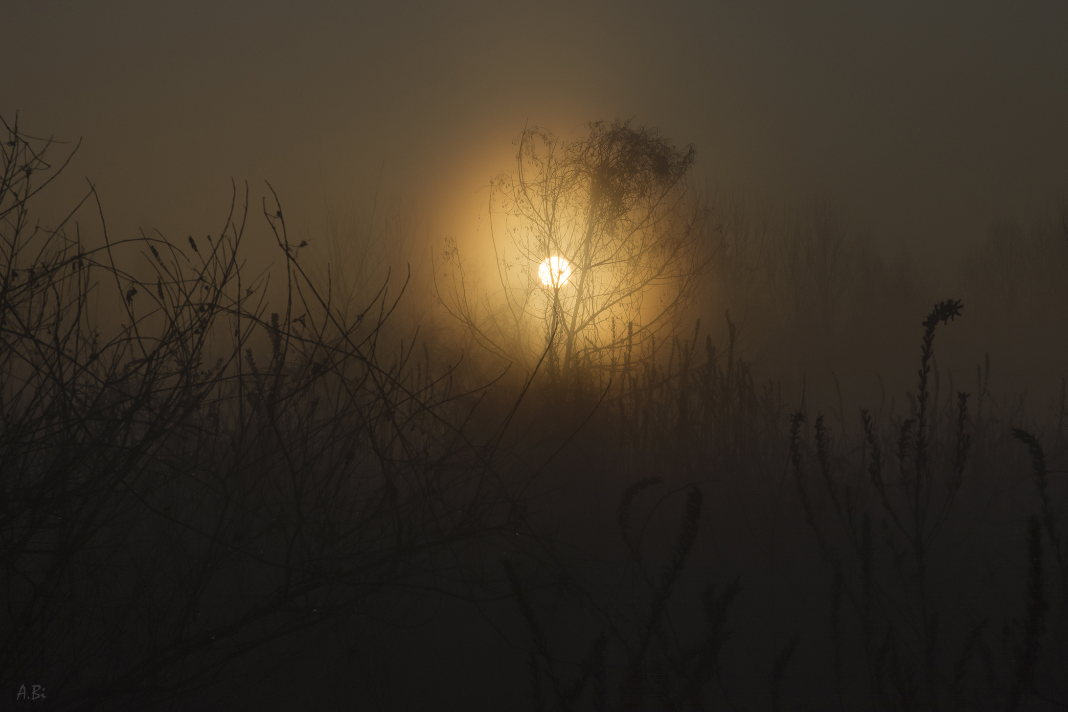 Il sole fra la nebbia