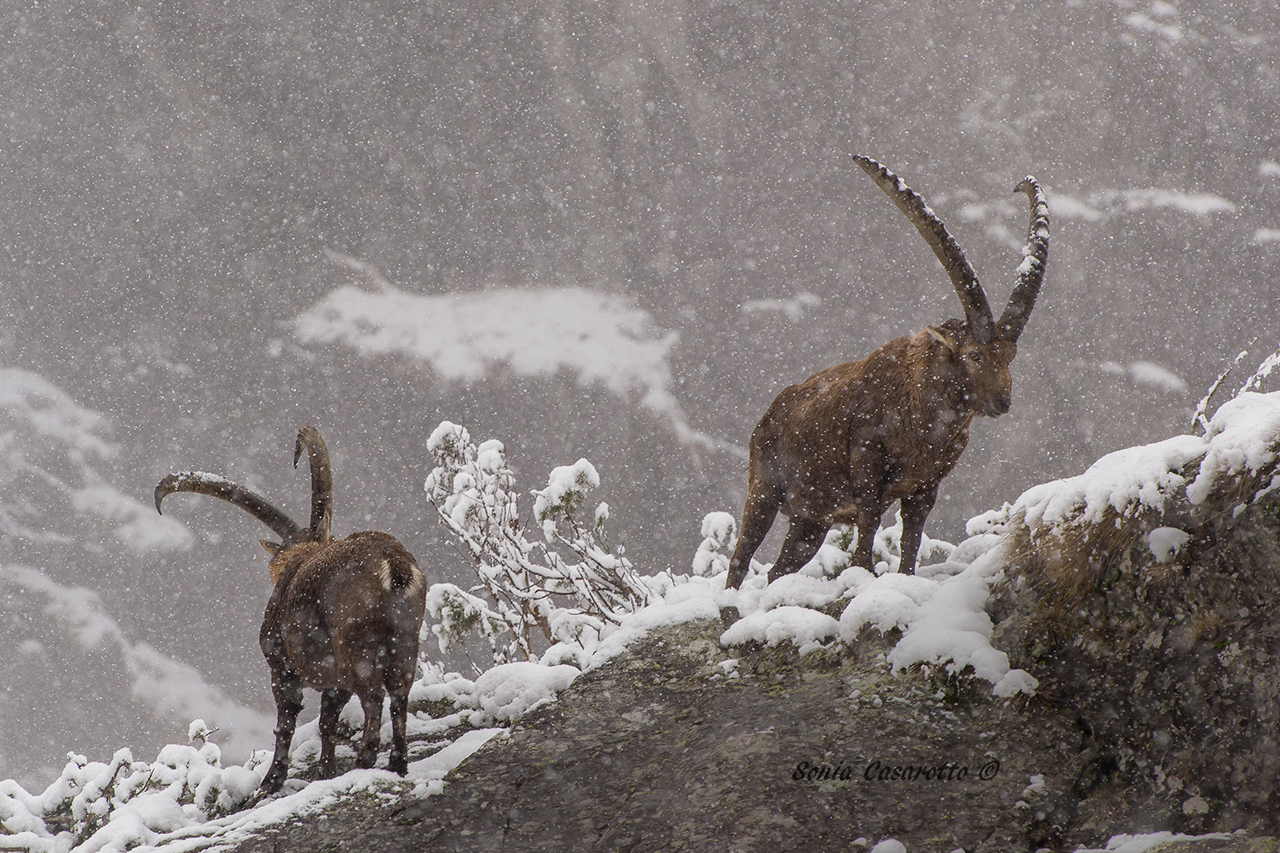 Girati che ci fanno la foto :-)