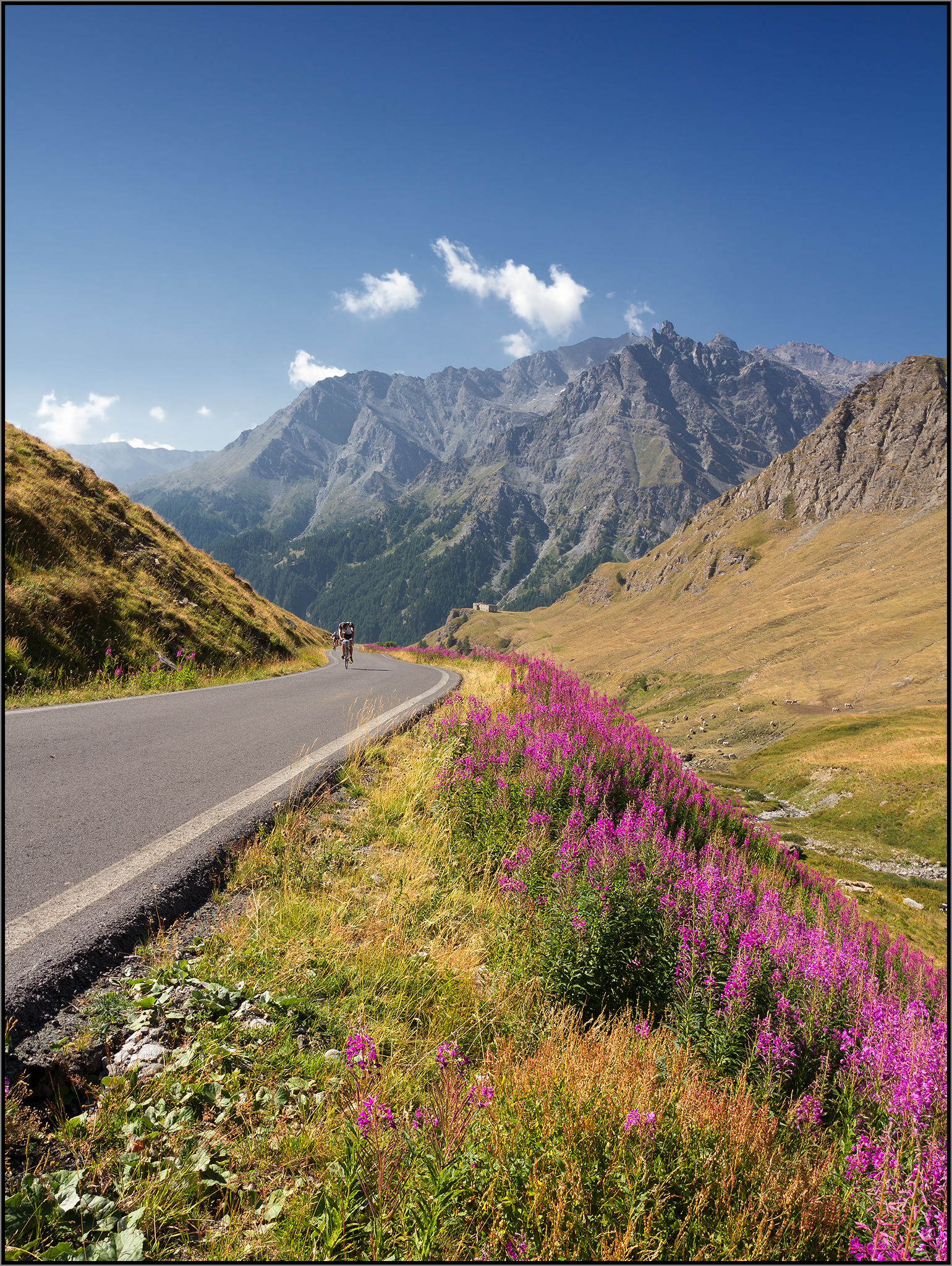 Climb to the Col Lamb