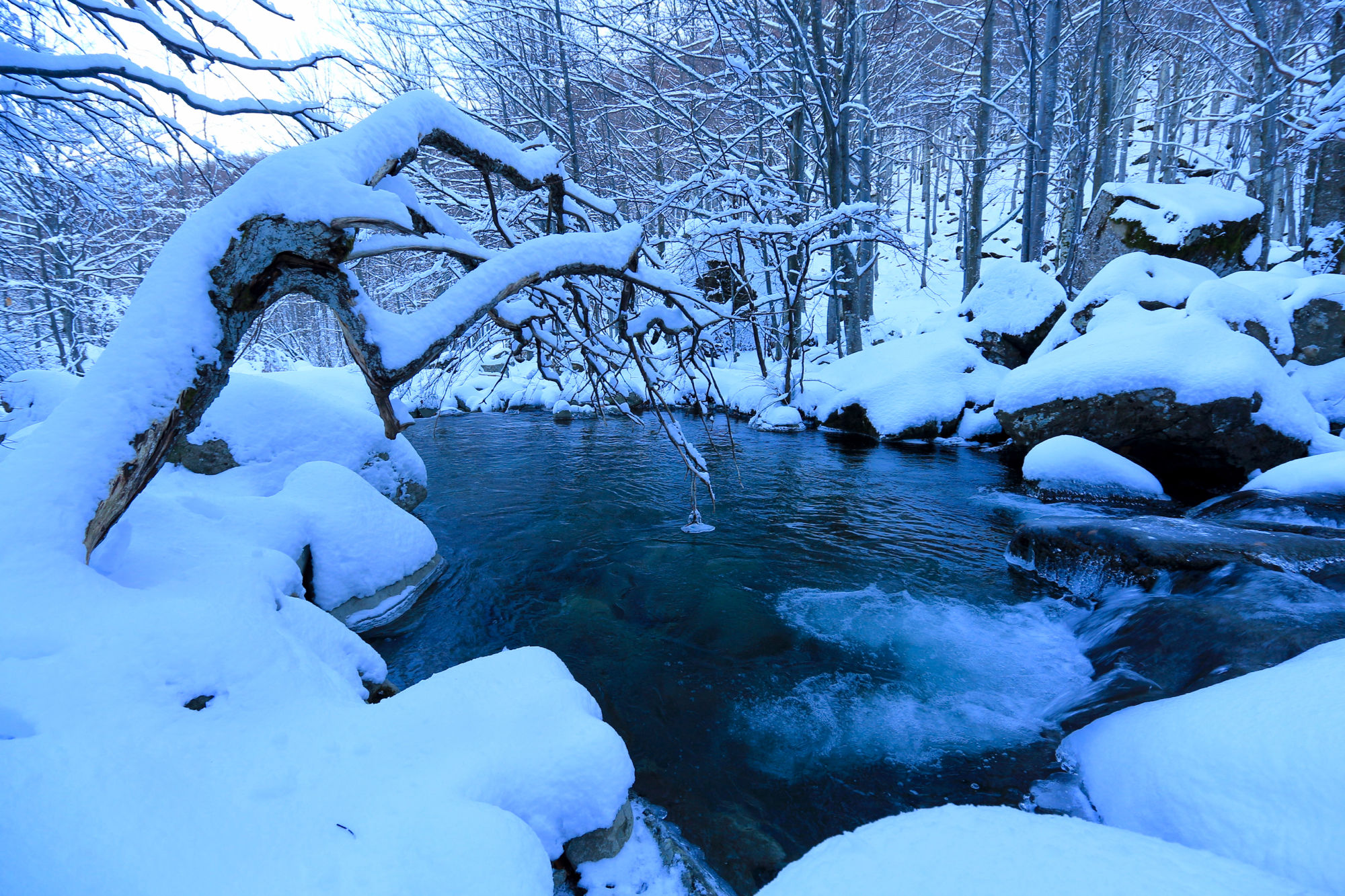 The magic touch of Winter