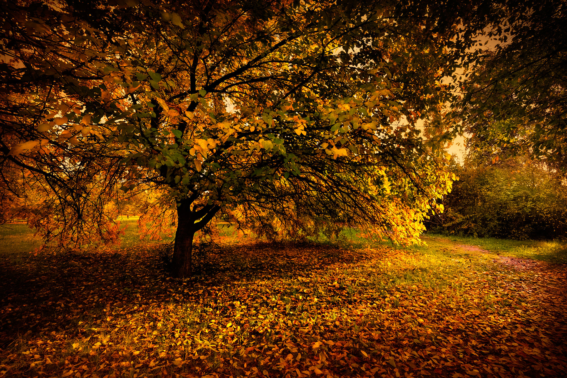una sera di novembre al parco