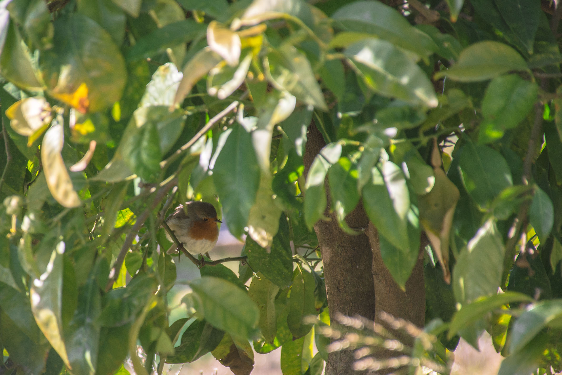 solo con i miei pensieri...