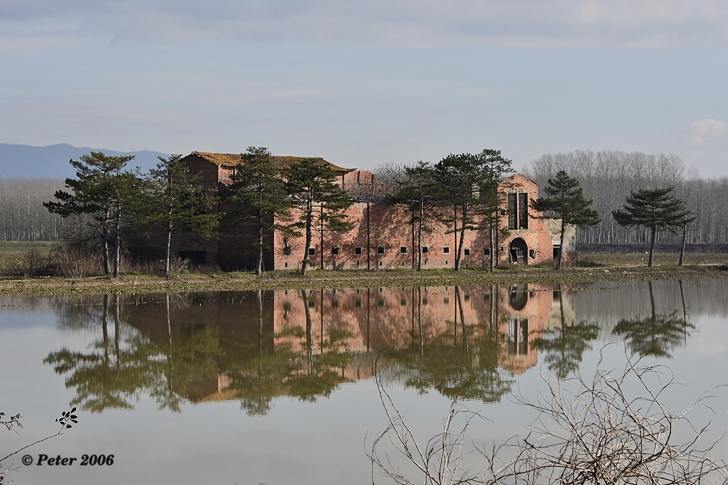 Reflex ruderi singol