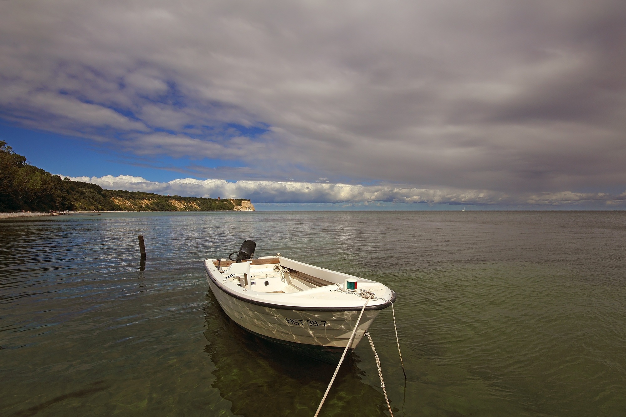 Vitt in the Insel Rugen