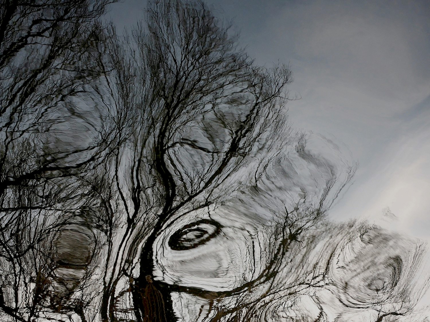 between lagoe sky ...