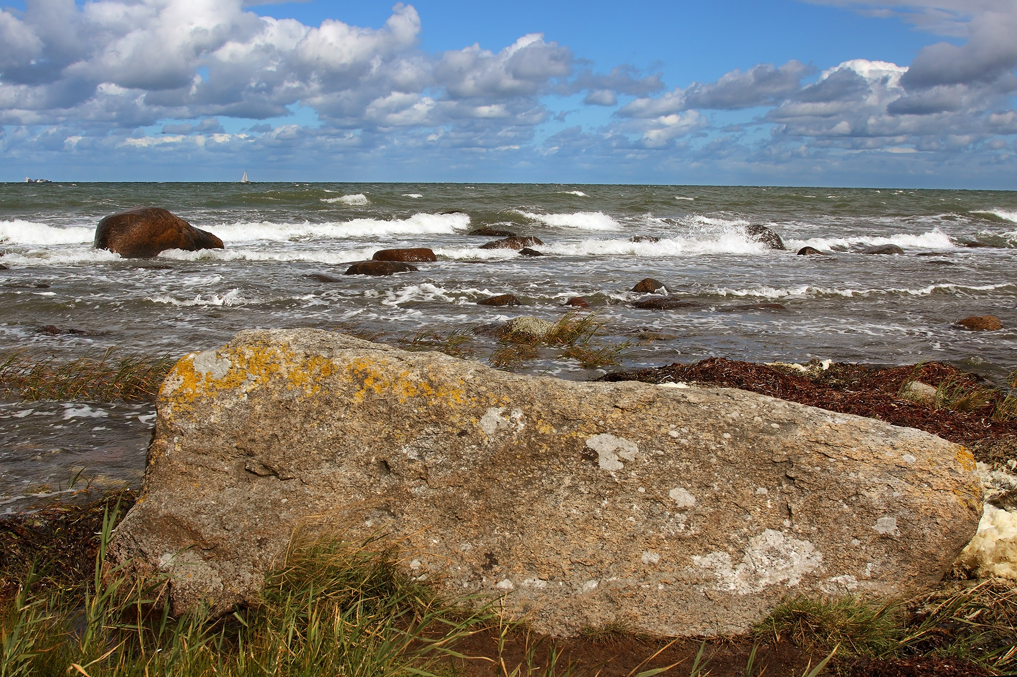 La selvaggia spiaggia di Kap Arkona