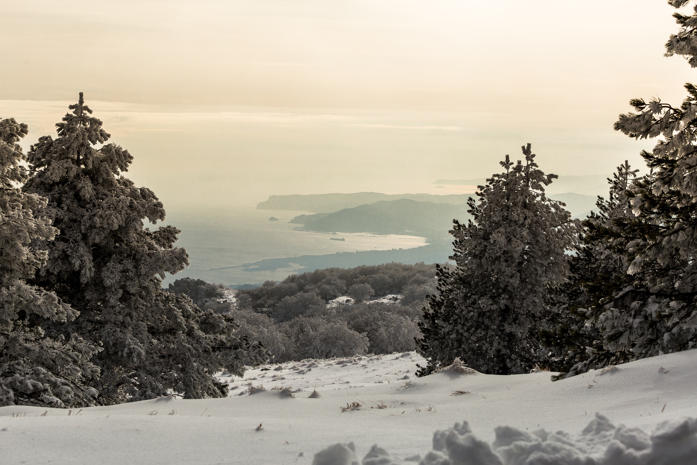 1000 meters watch the ocean
