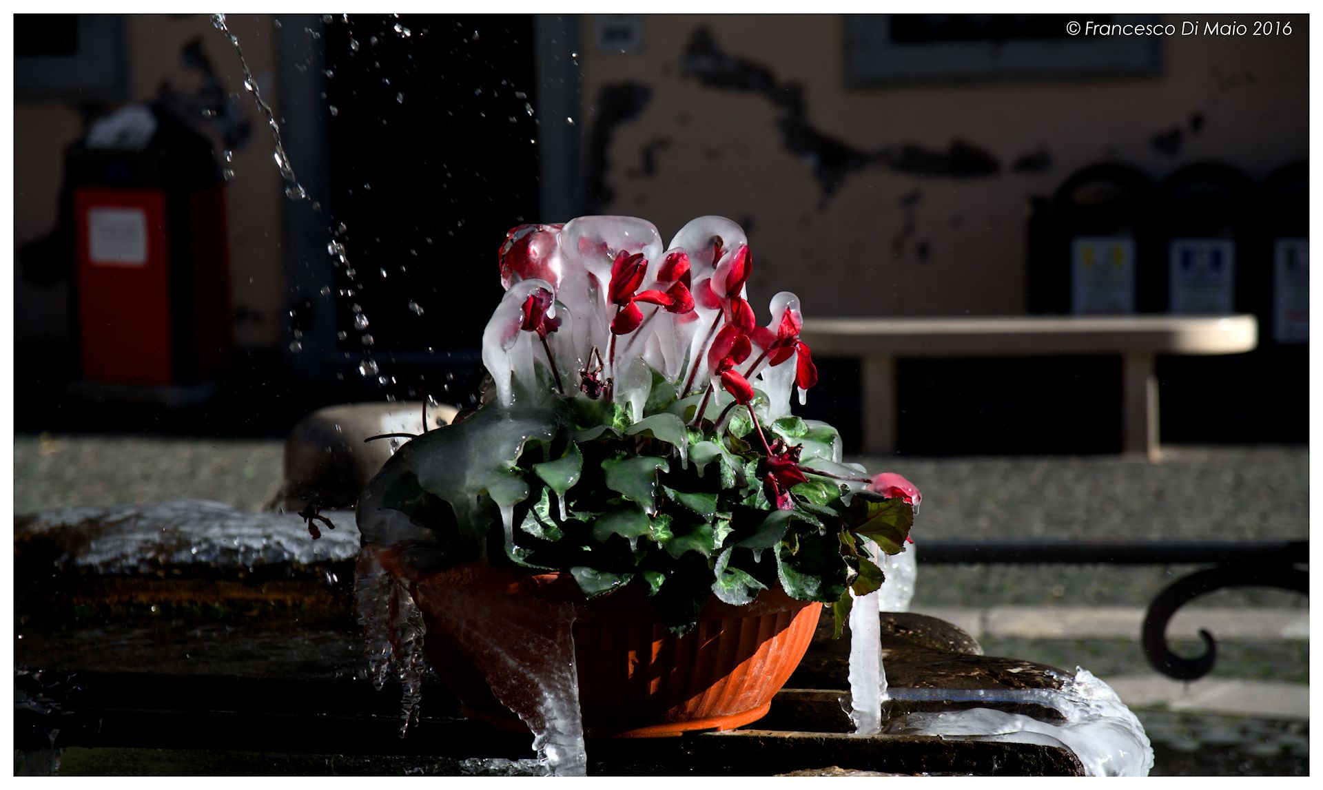 non mi schizzare...son tutta ghiacciata....