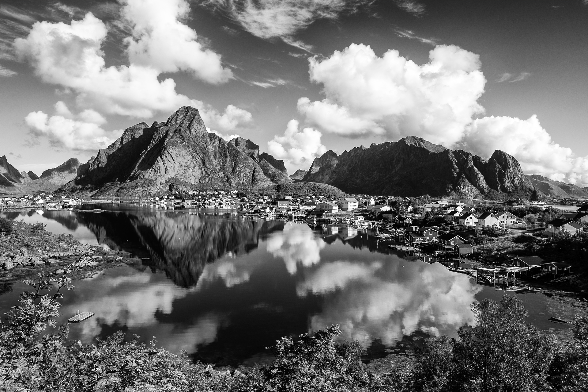 Reine ...di bianchi e di neri