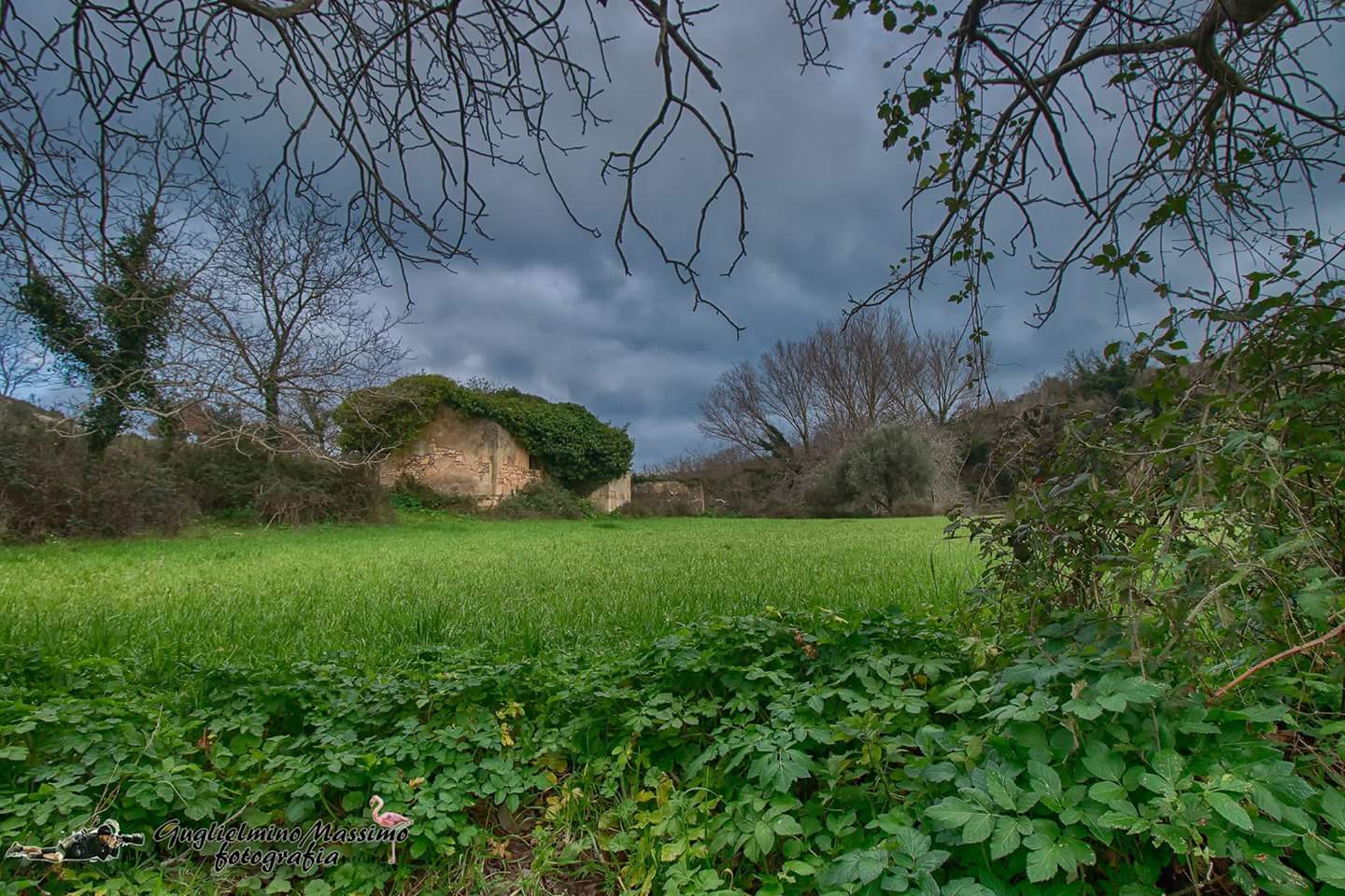 ..contrasti color of a cloudy afternoon