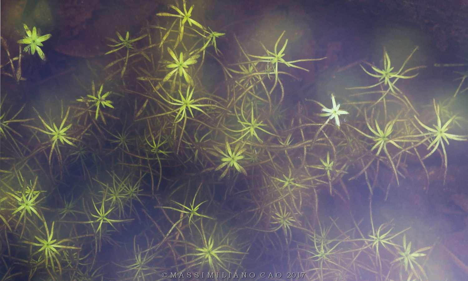 Not always the stars are in the sky